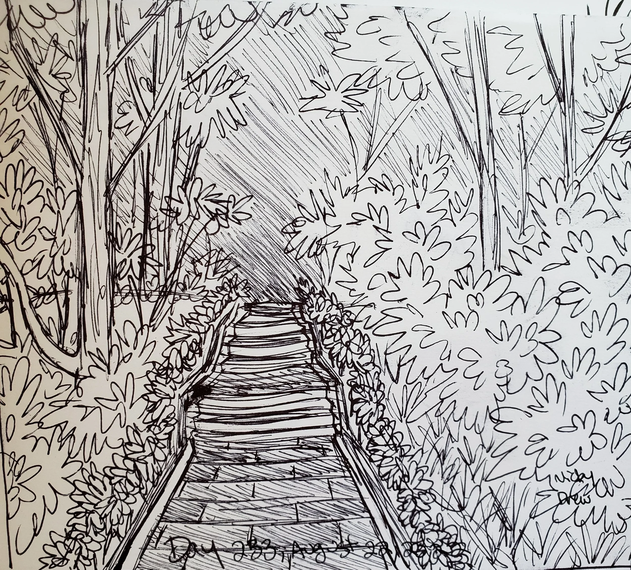 365 Days of Sketchbook: Week 34 — Nicky Drew