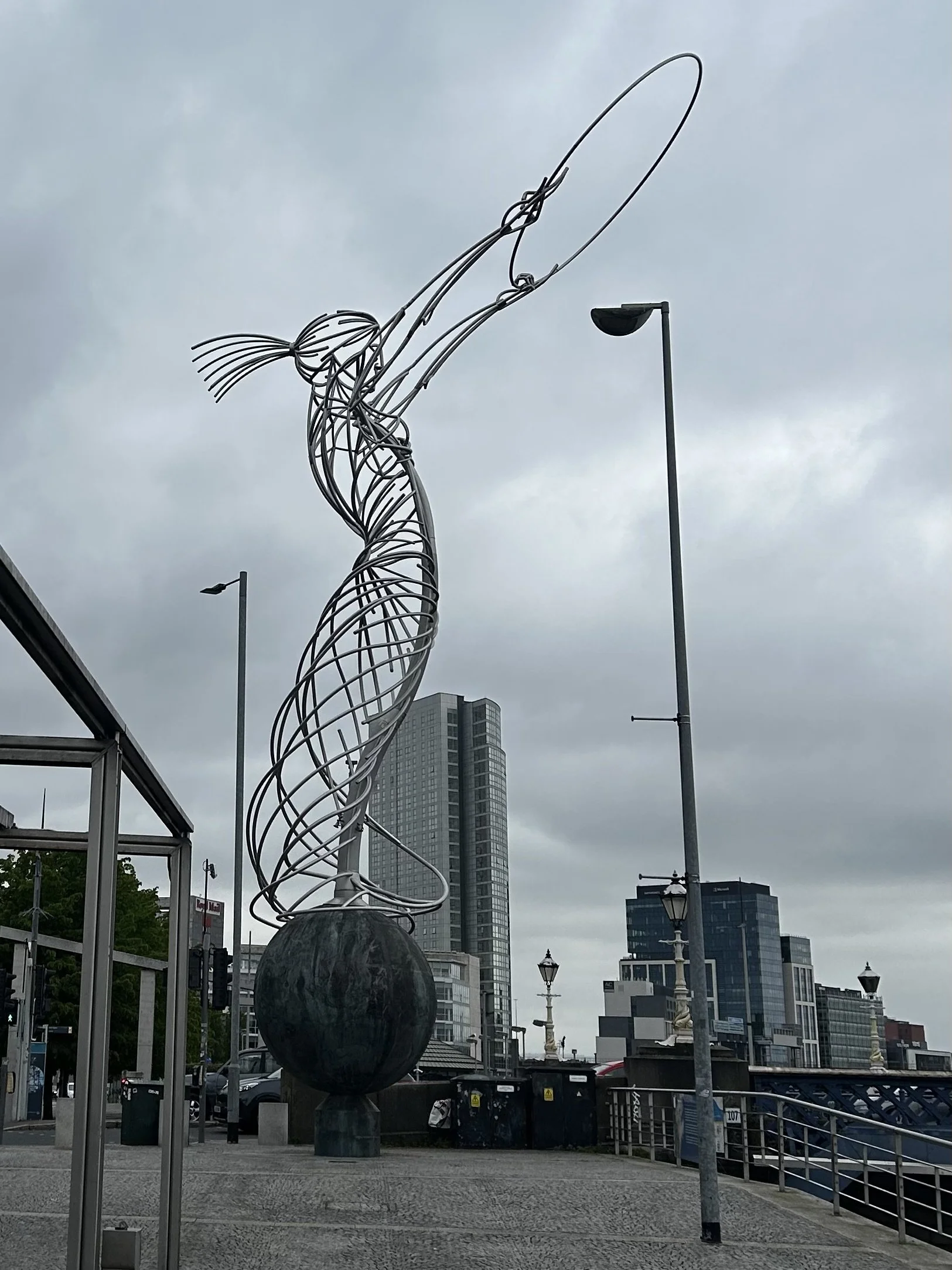 IMG_8299.jpeg