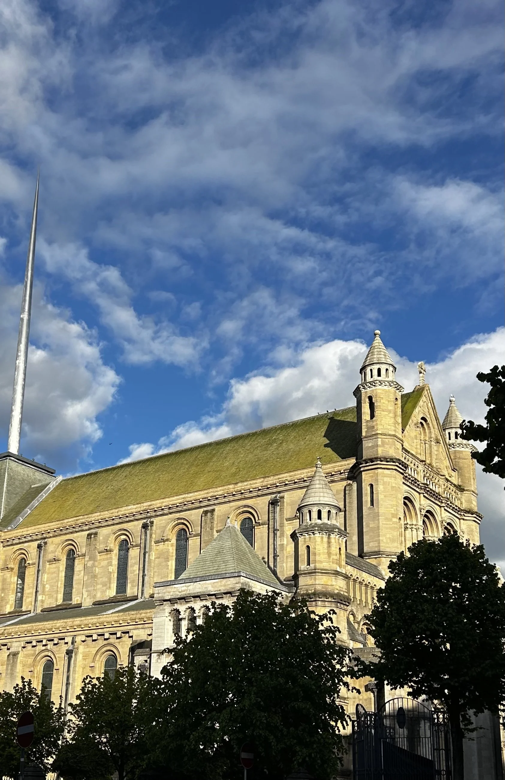IMG_8252.jpeg