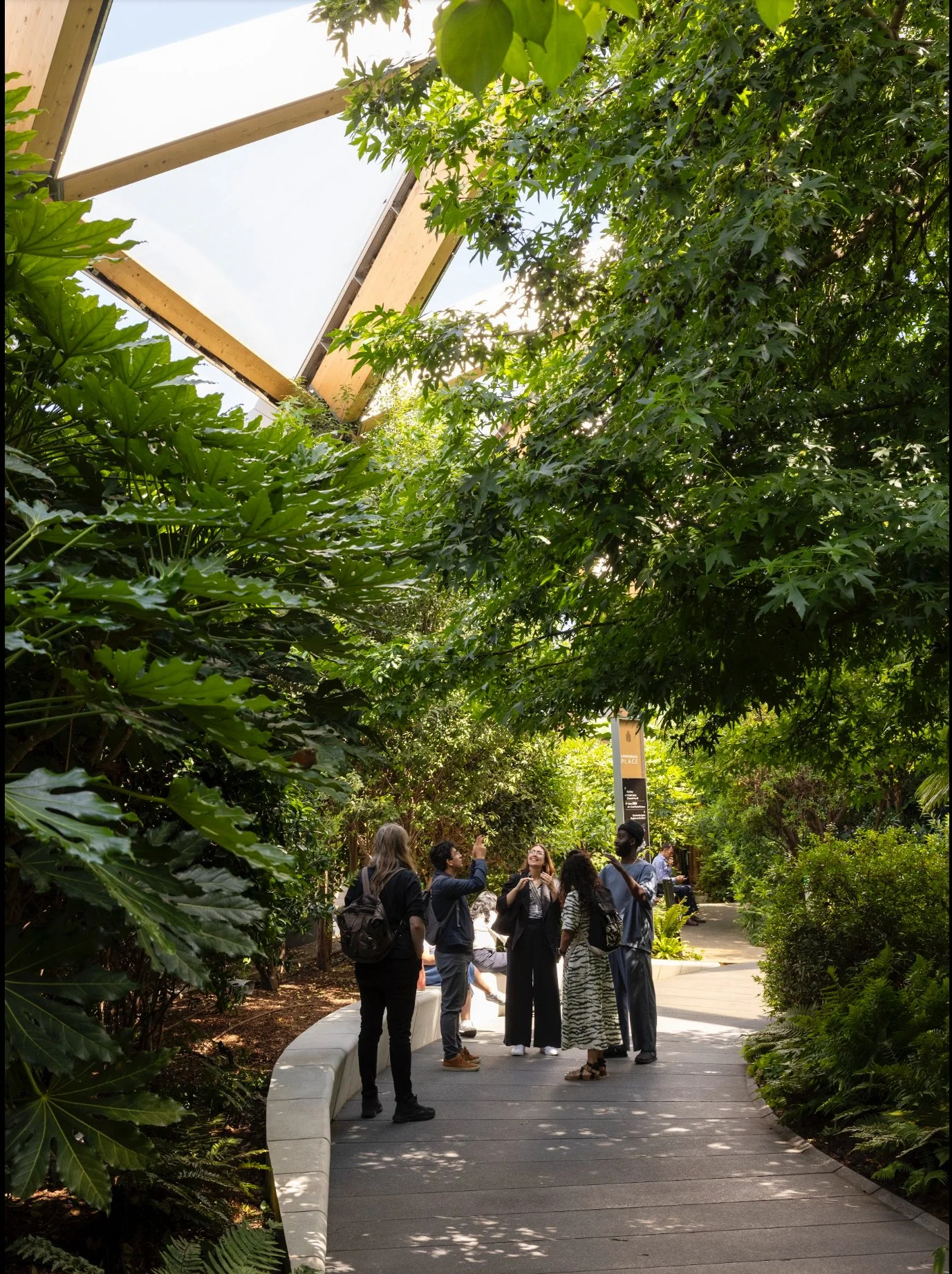 A mixed group of people signing in BSL in the centre of Crossrail Place Roof Garden, surrounded by trees and sun filled light coming into the space. 