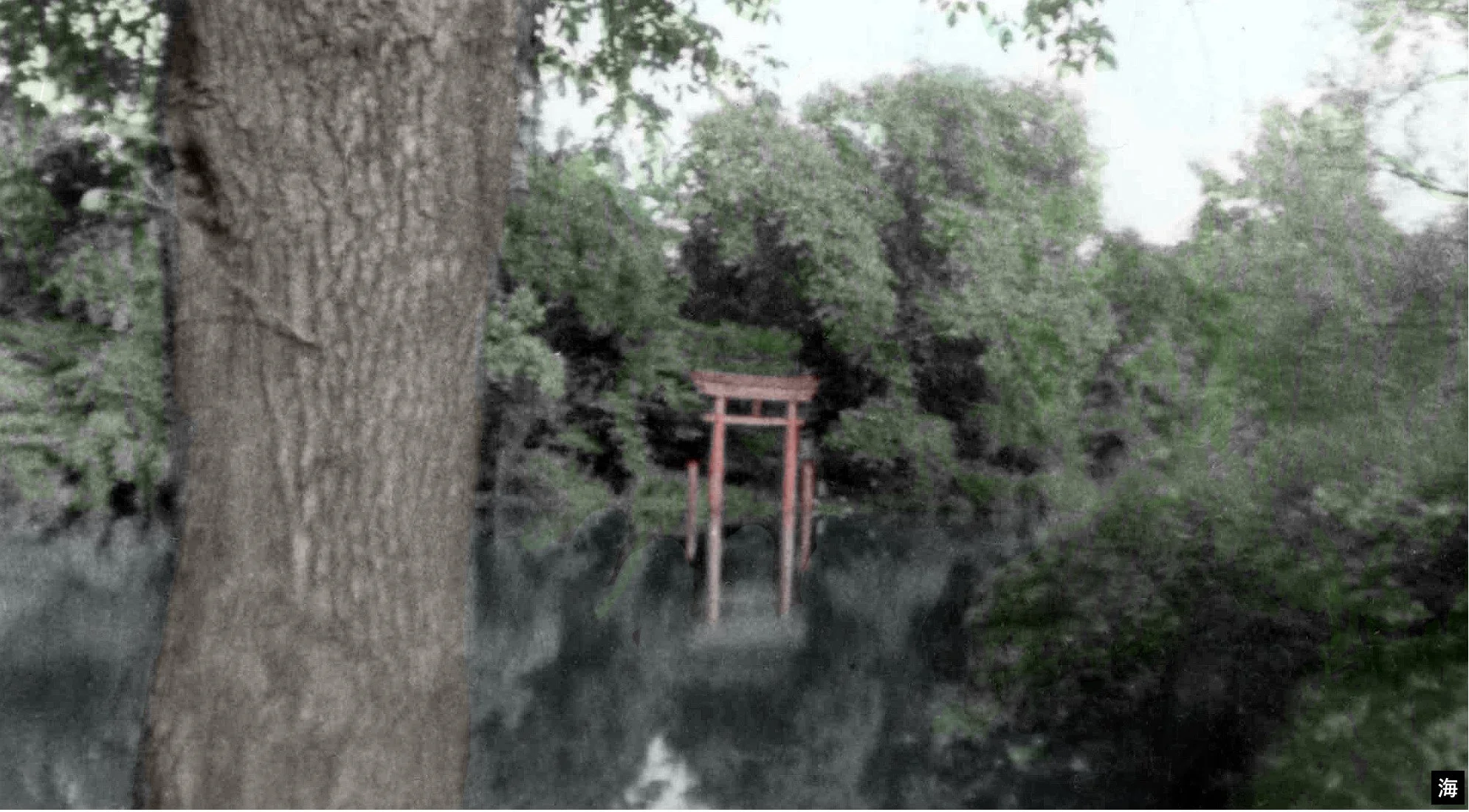 (E) West Path and Torii Gate — The Garden of the Phoenix Foundation