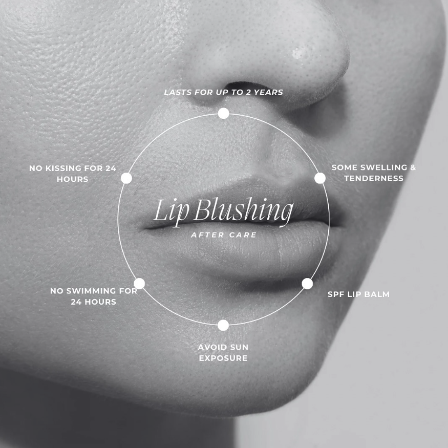 Screen Shot 2024-12-11 at 9.50.42 AM.png