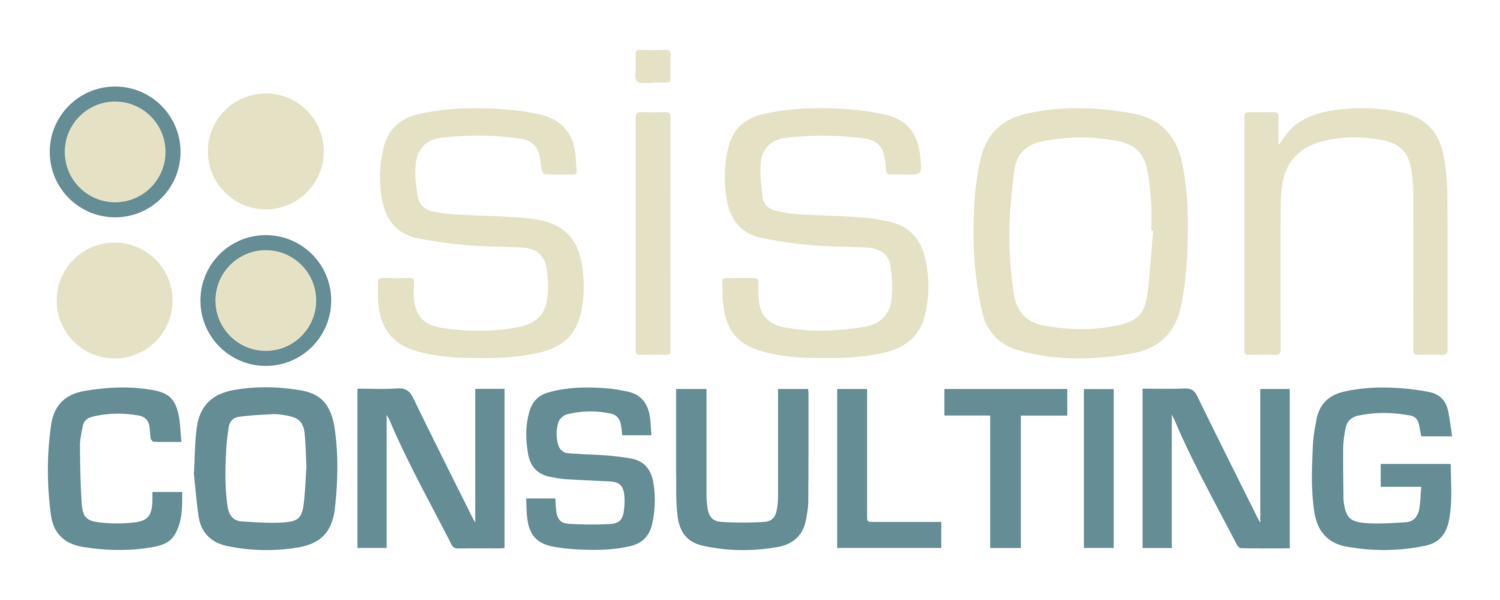 Dr. Gus Sison | Sison Consulting