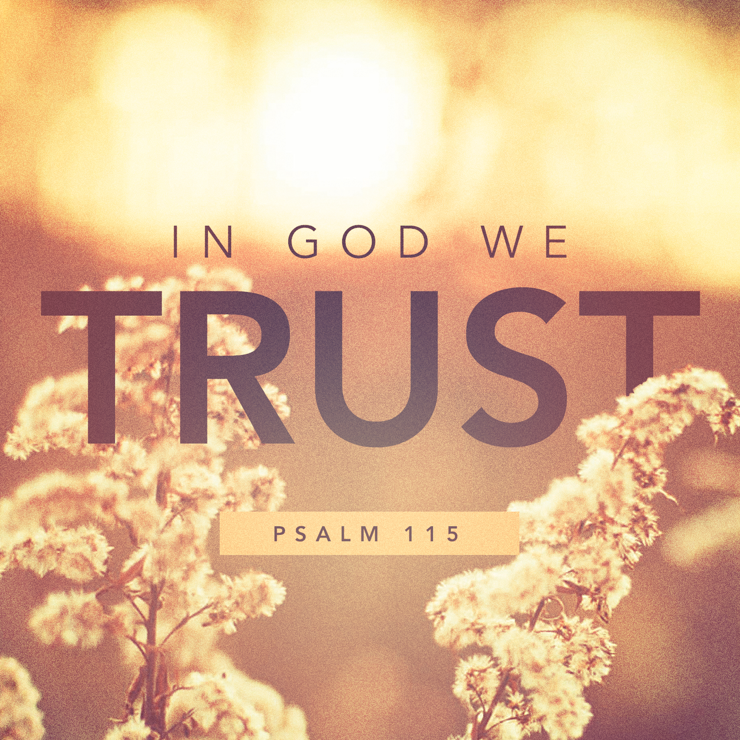 In God We Trust, Psalm 115 episode artwork