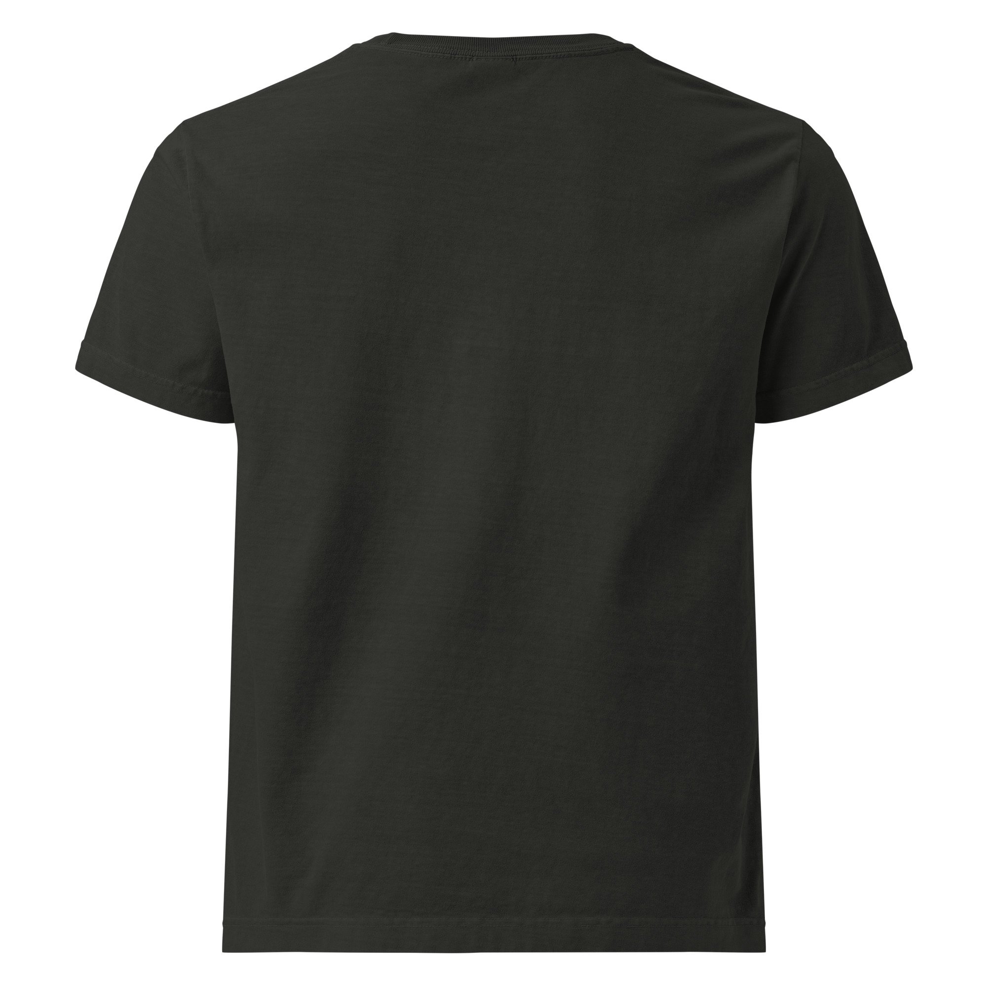 unisex-heavyweight-garment-dye-tee-washed-black-back-6ae0c35bda182.jpg