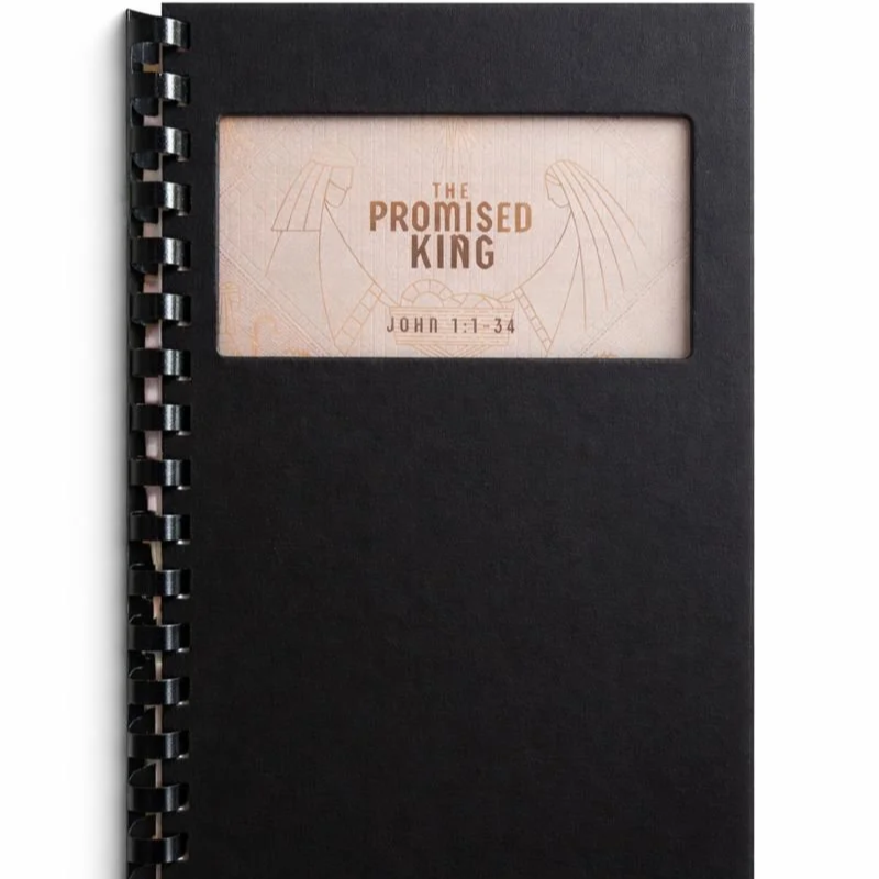 The Promised King:  Four Advent Sermons from John 1:1-34 (Printed Booklet)
