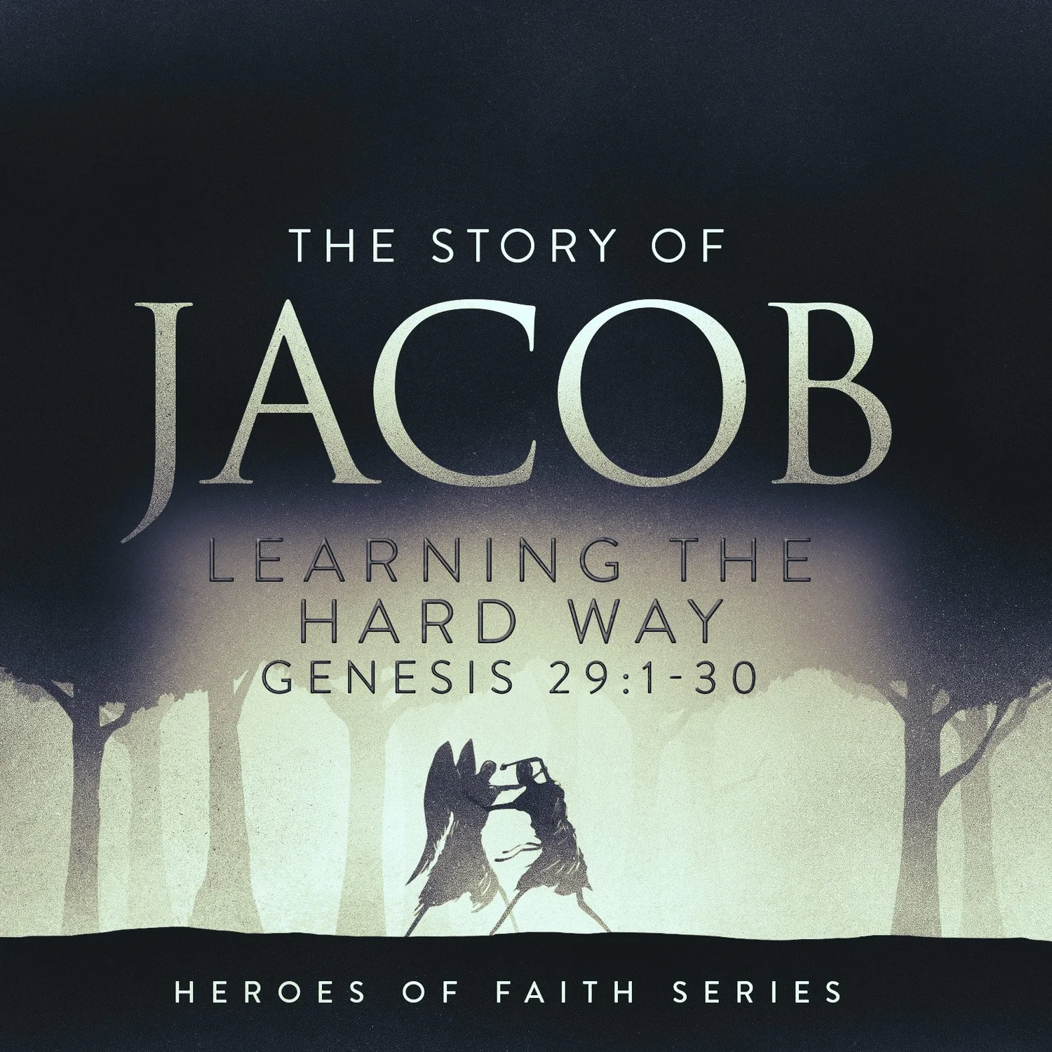 Learning the hard way, Genesis 29:1-30 episode artwork
