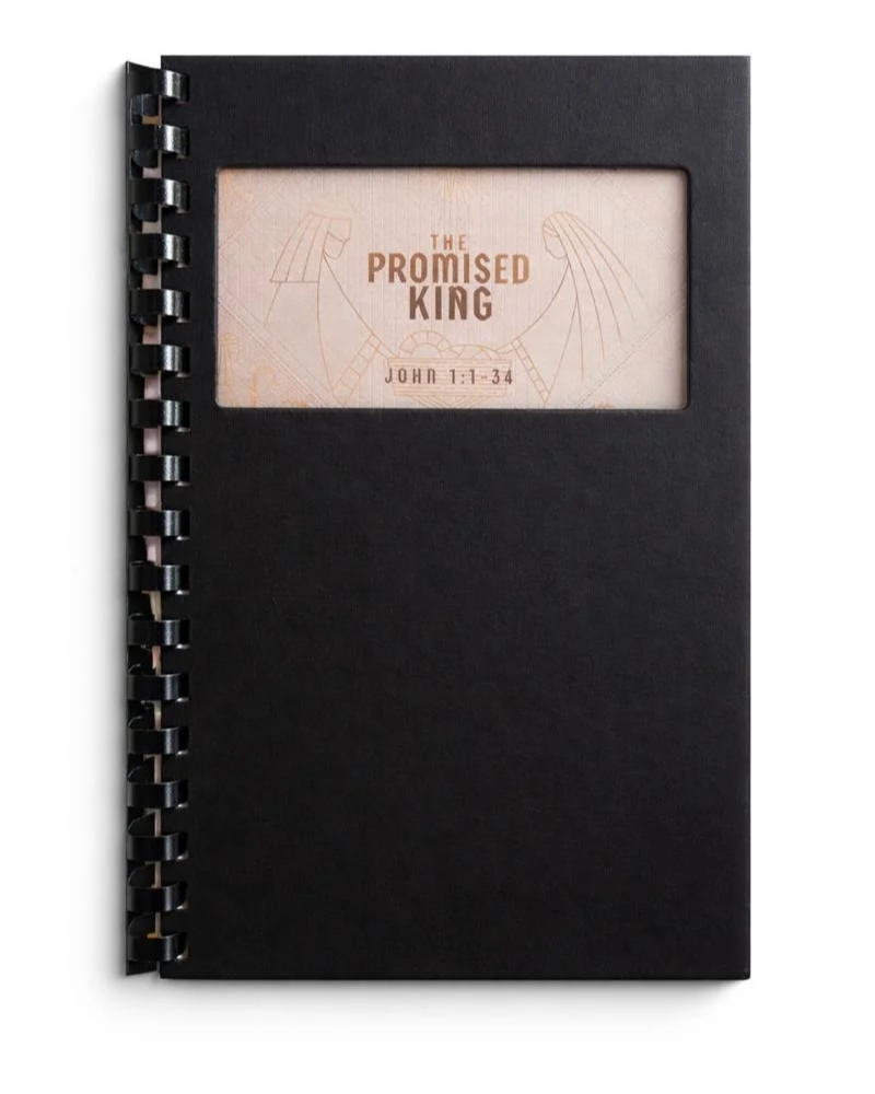 The Promised King:  Four Advent Sermons from John 1:1-34 (Printed Booklet)