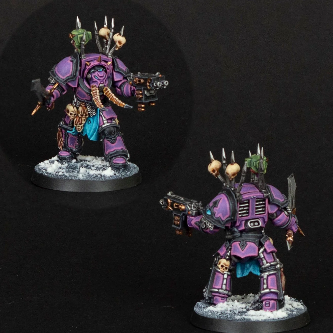 final pictures termies.jpg