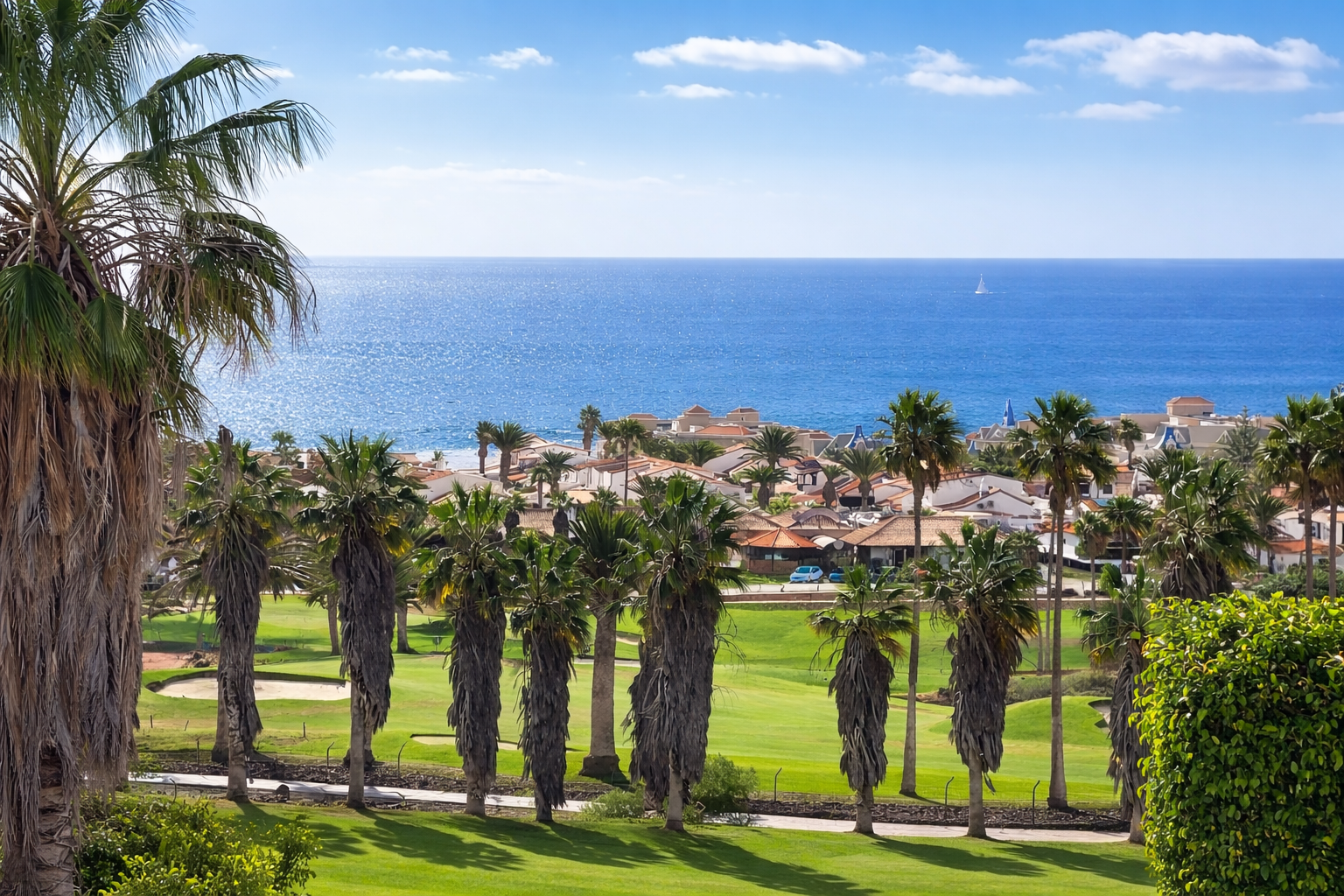 ChatGPT Image Jan 16, 2026, 02_33_29 PM.png