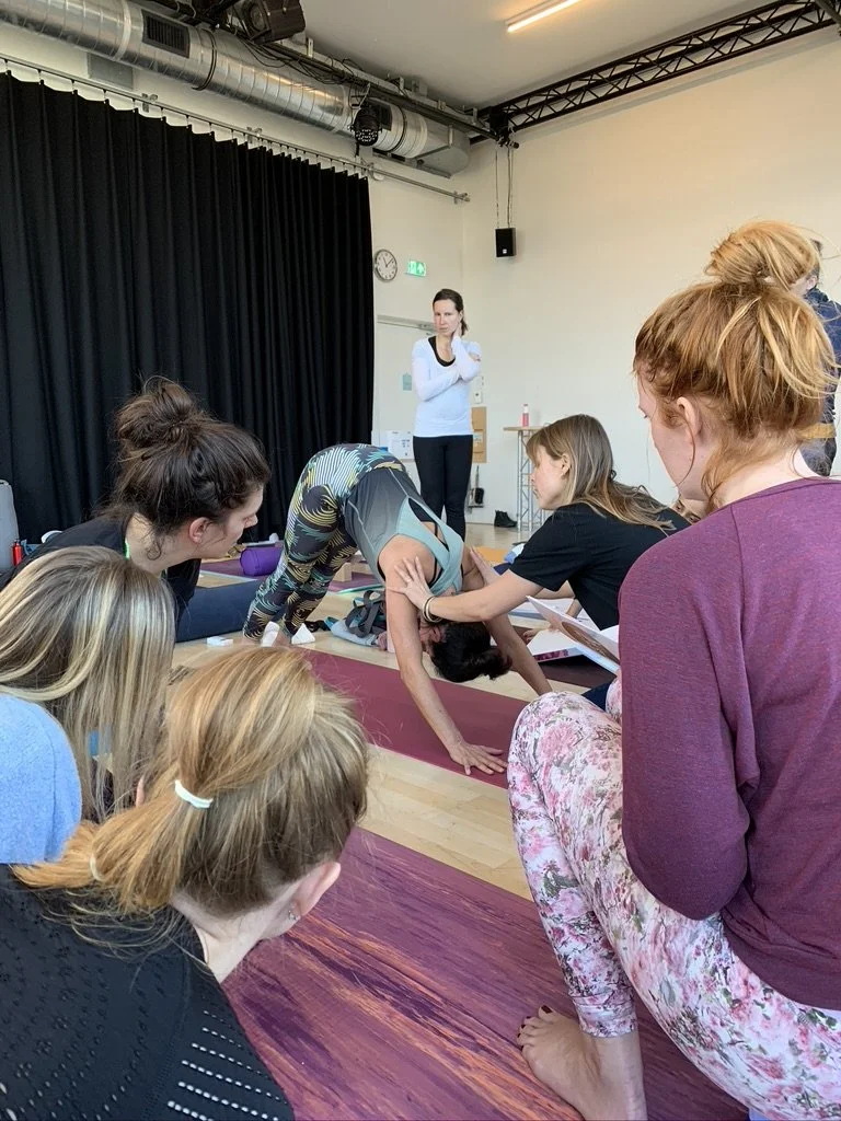The teacher as student: staying nourished