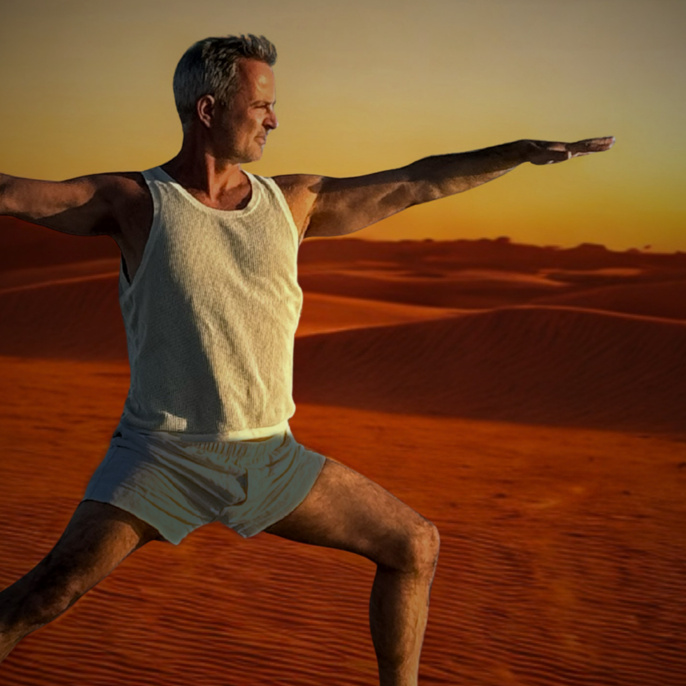 Hot Hatha Teacher Training