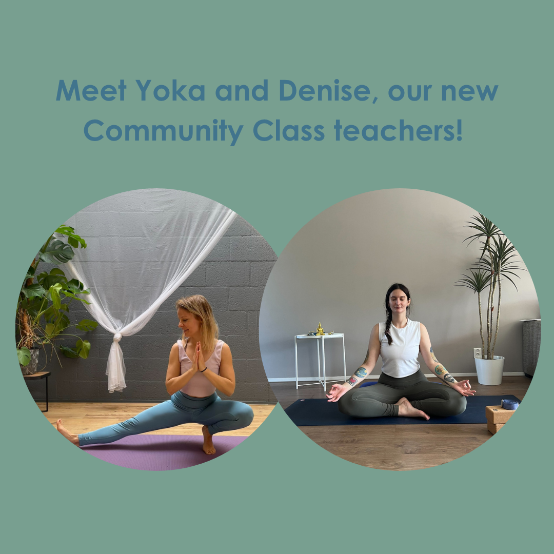 Meet our new Community Class teachers