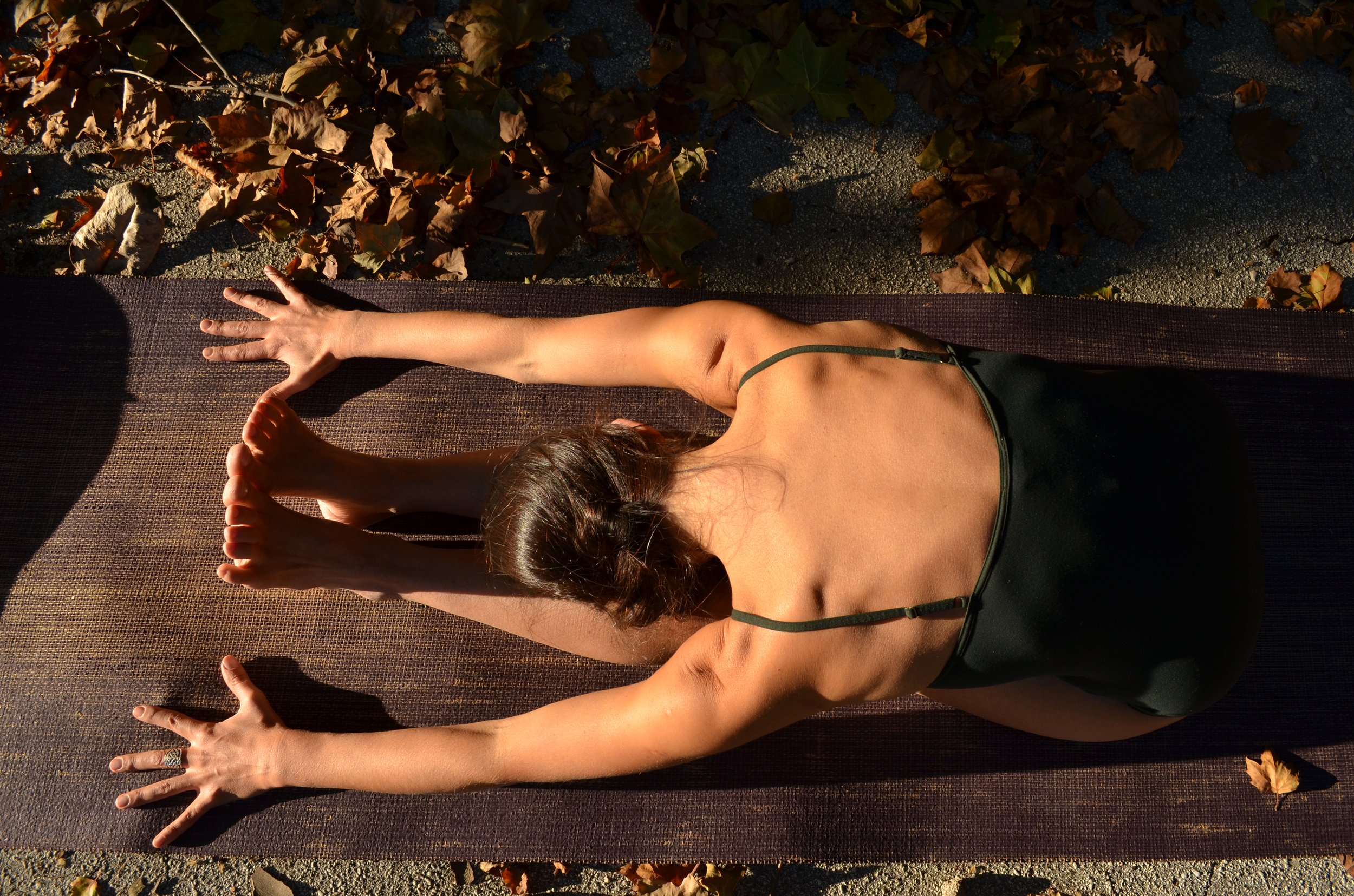 Somatic Approach to Yoga Training with Liliana Nuno — Yoga Moves
