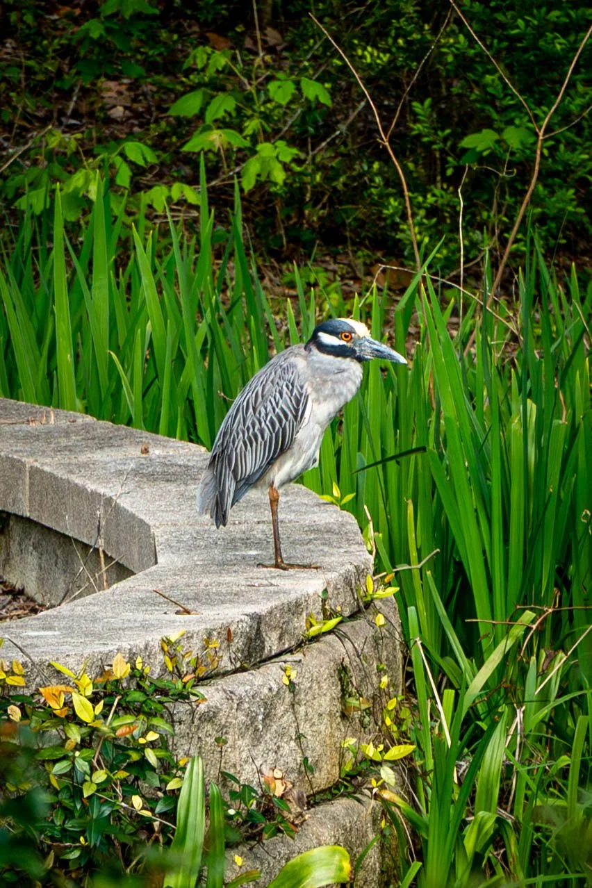 Seabrook Trails-1.jpg