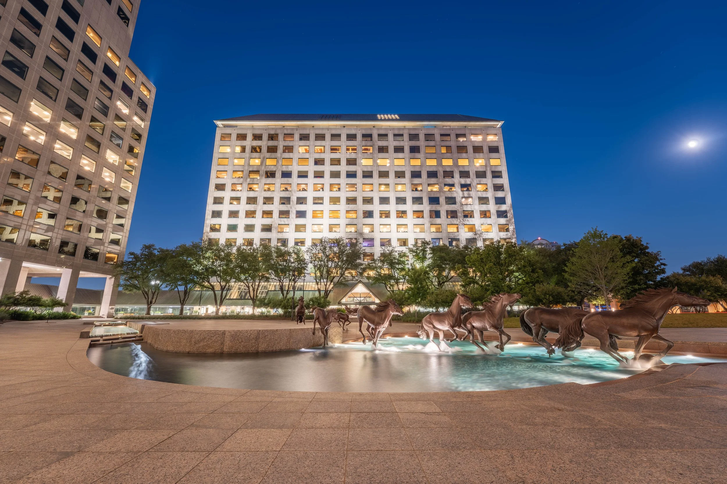 Williams Square_128.jpg