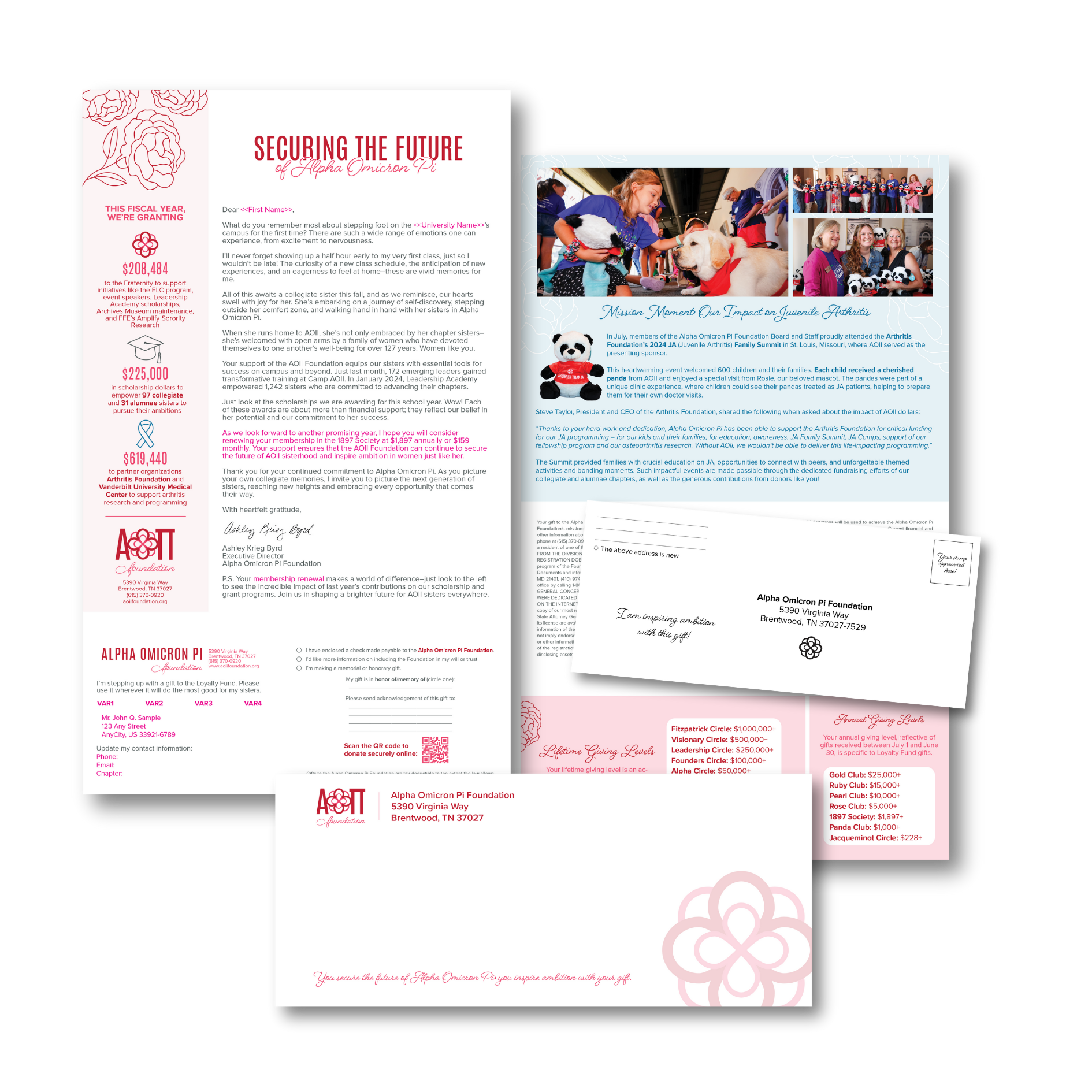 Direct mail kickoff appeal designed in Adobe InDesign. Click image for PDF.