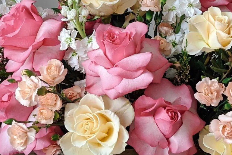 Profile Background Image_bcba3a44-46ed-4361-9820-28530a4efb03.jpg