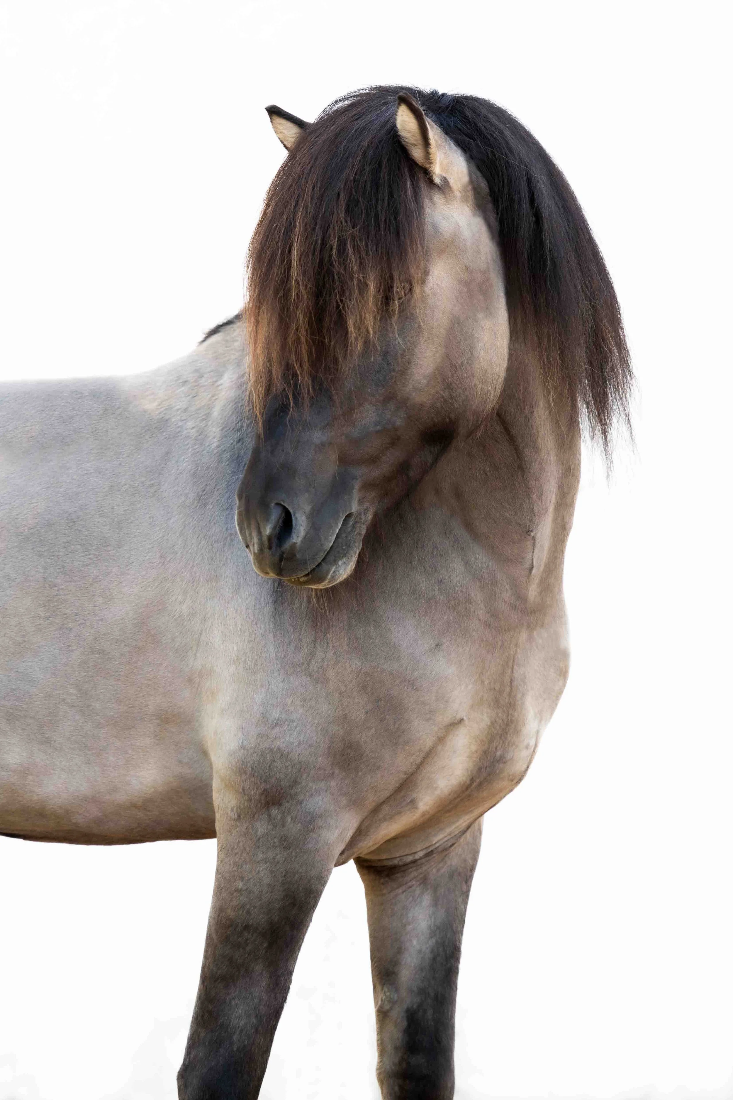 _DSC5480-Edit.jpg