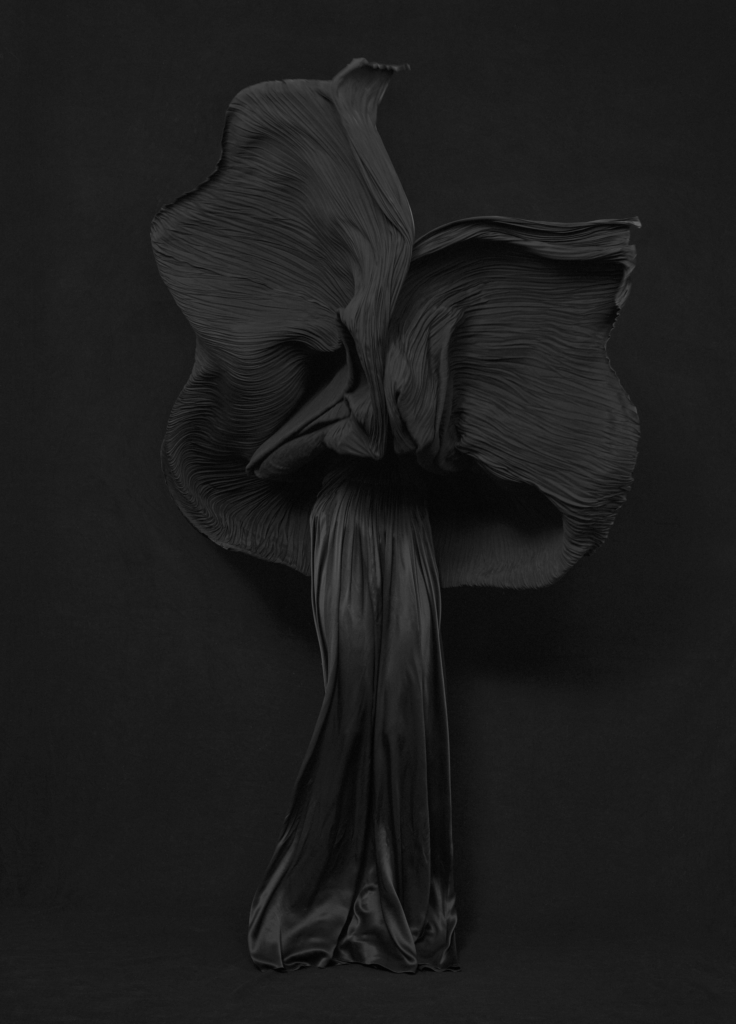 Cover-a.jpg