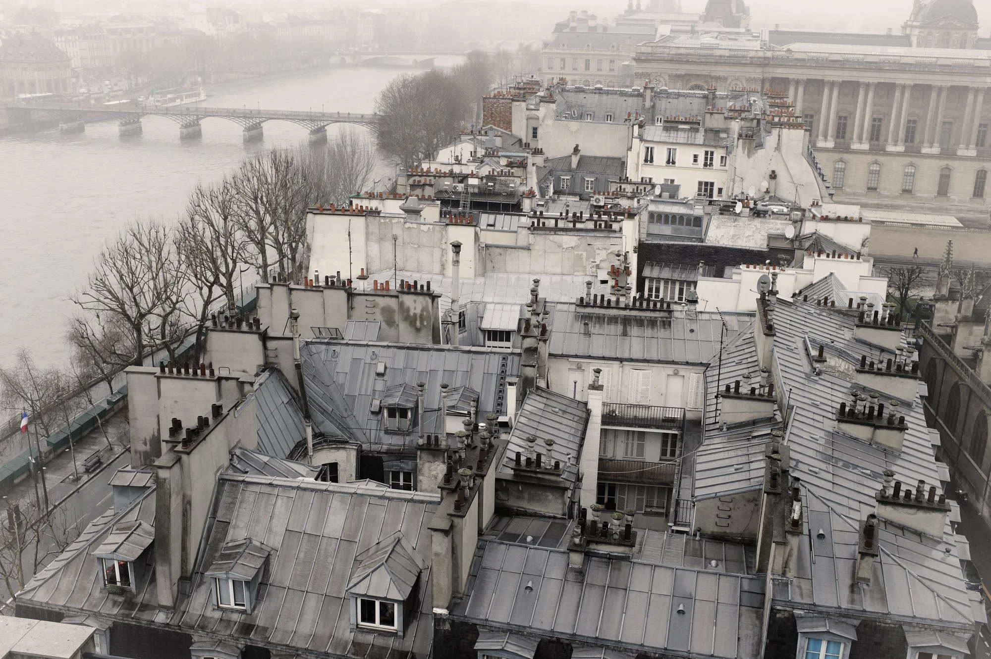 Paris rooftops.jpg