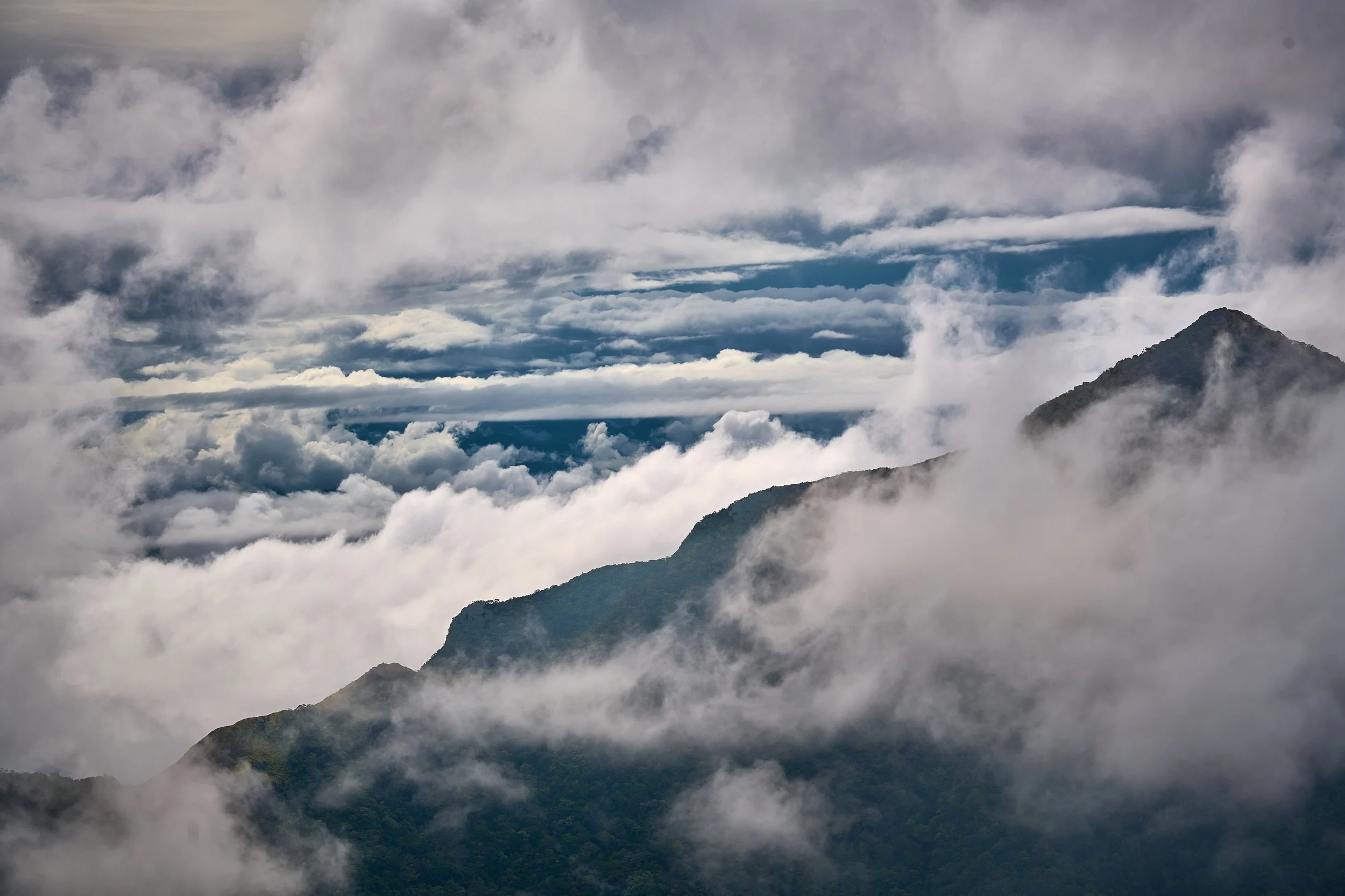 Sri Lanka 2025 389.jpg