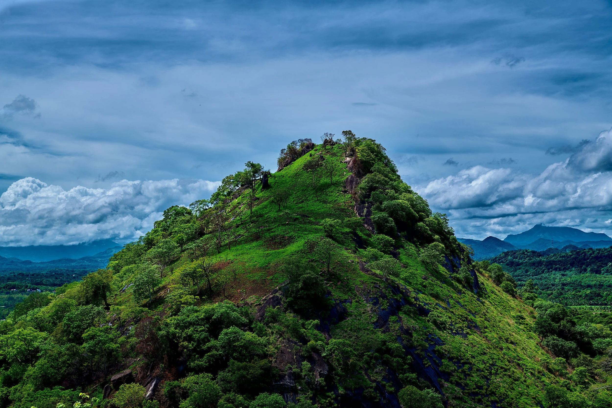 Sri Lanka 2025 216.jpg