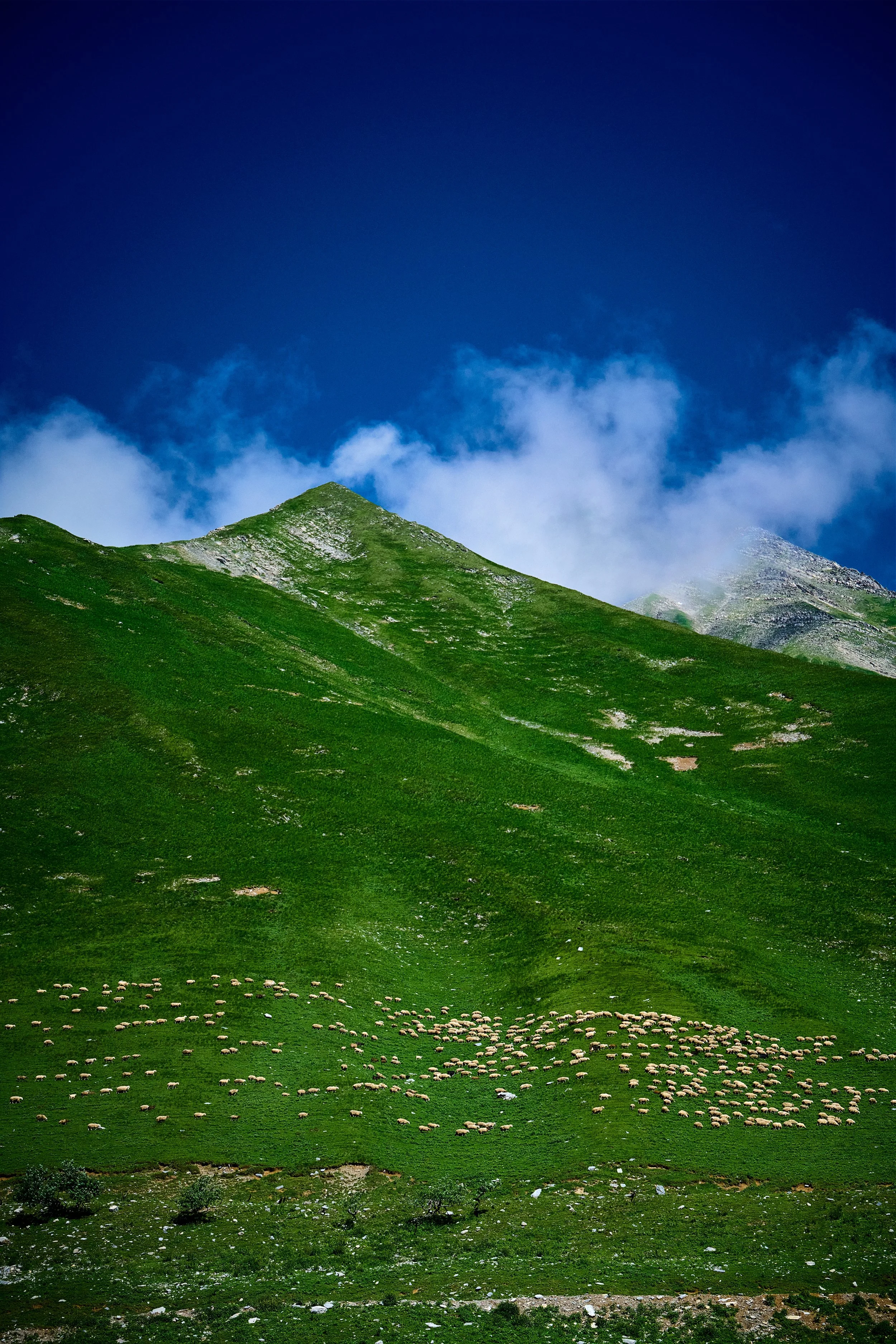 Armenien_Georgien 850_0196.jpg