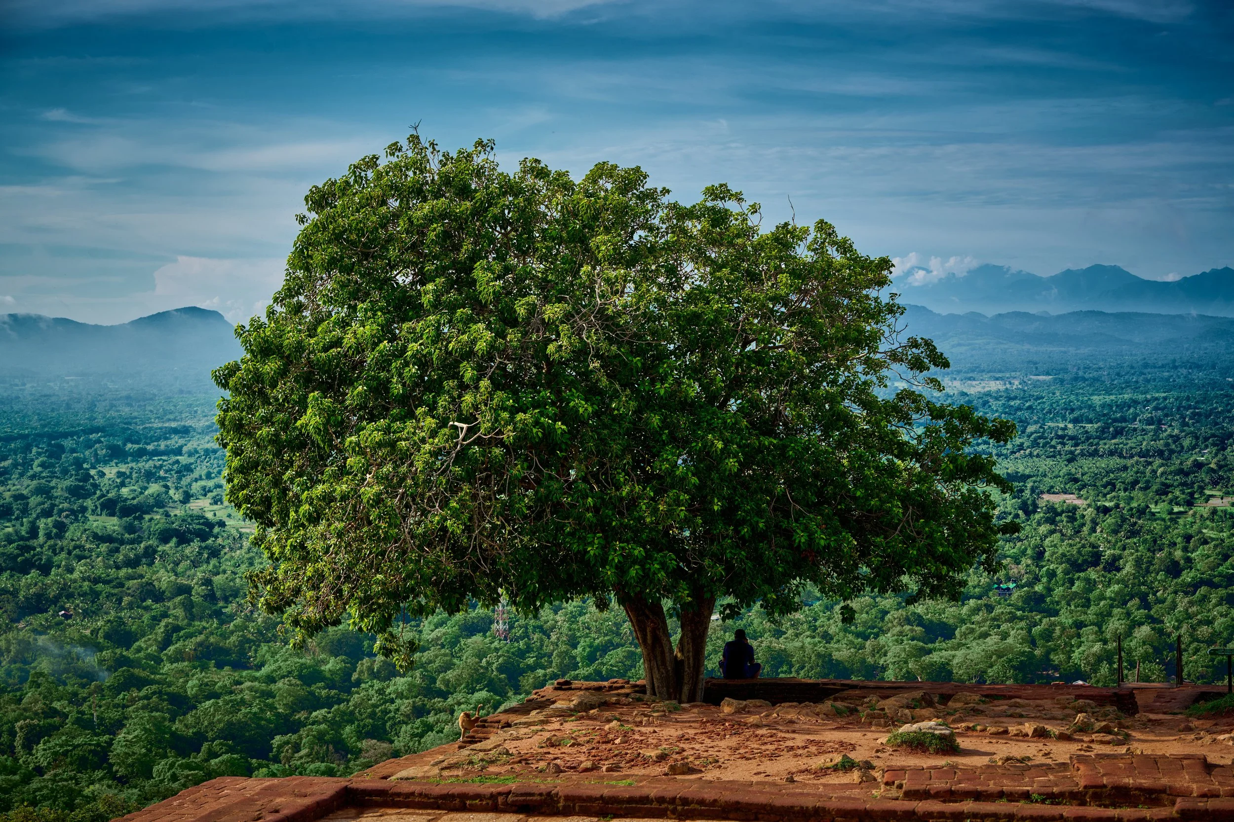 Sri Lanka 2025 060.jpg