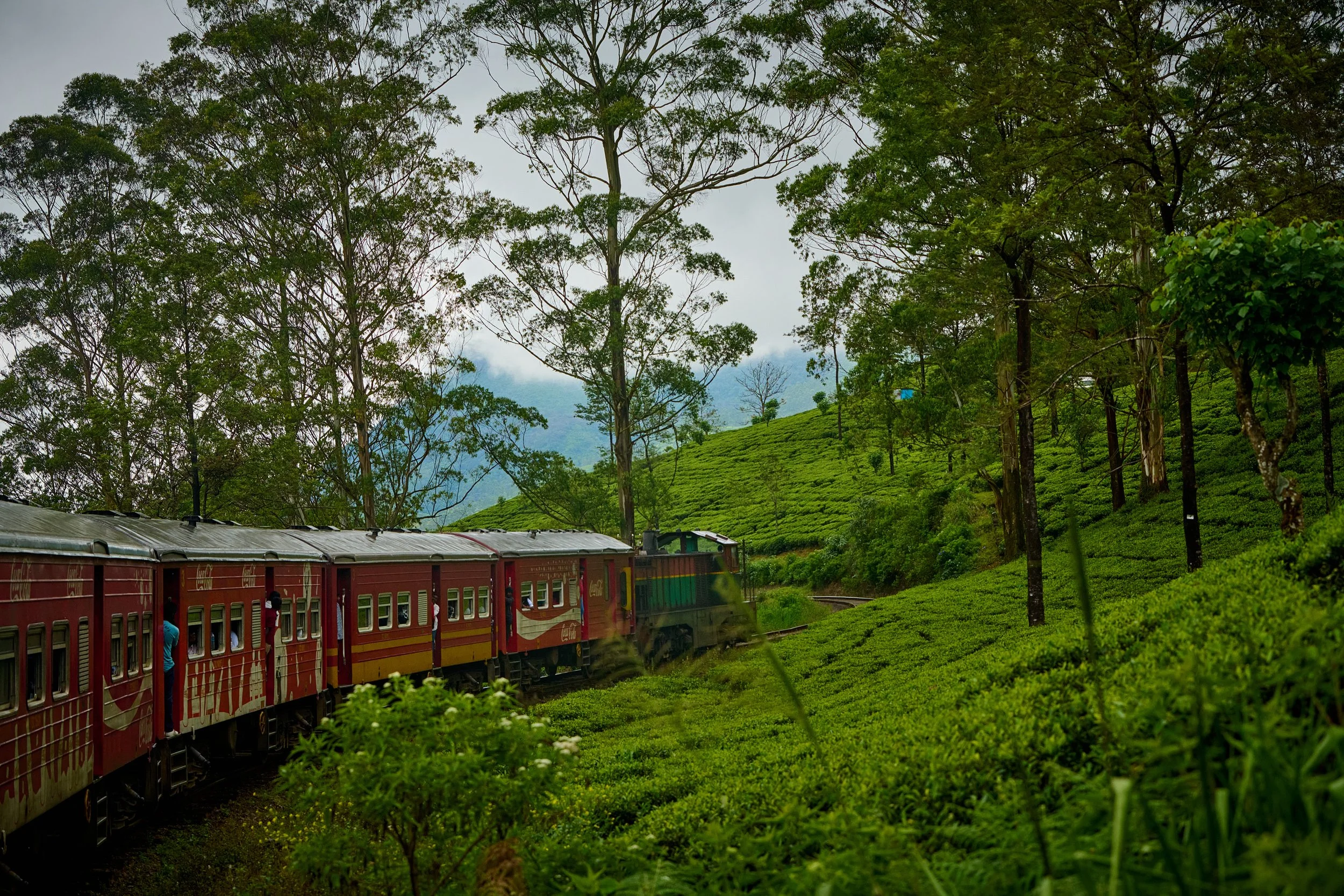 Sri Lanka 2025 426.jpg