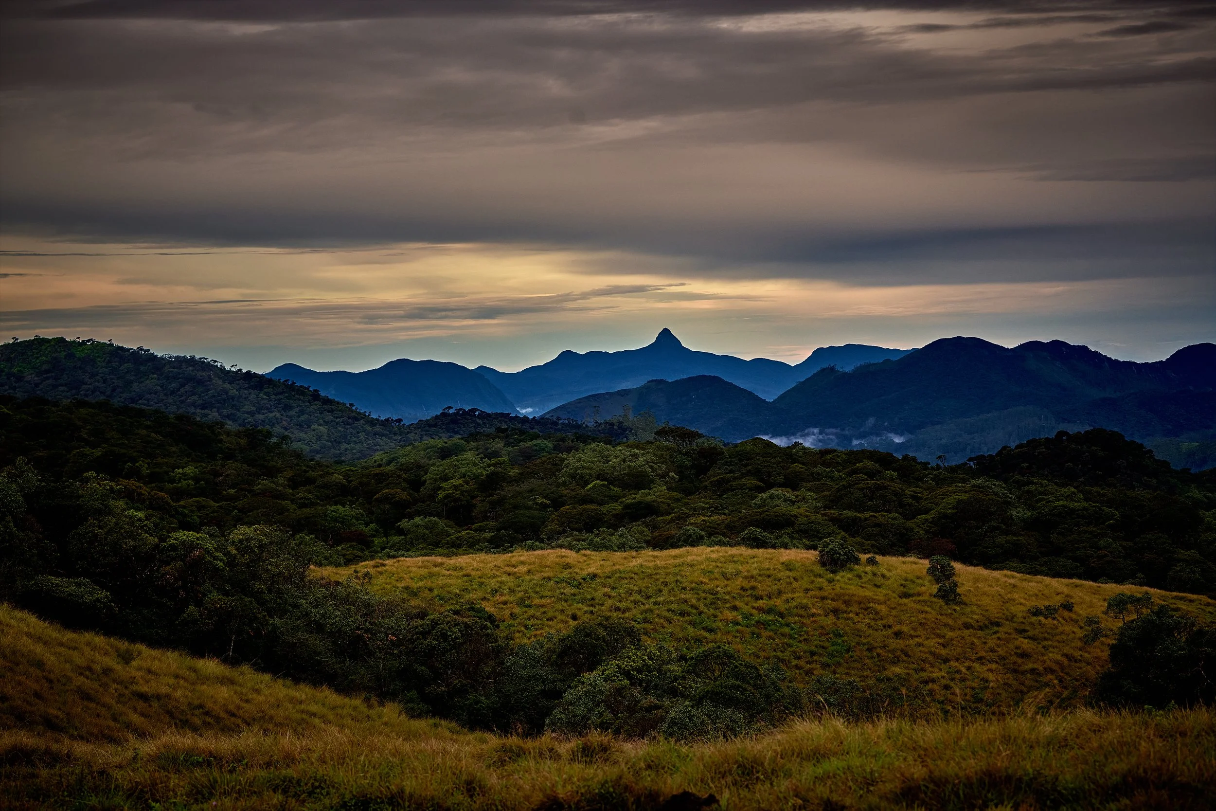 Sri Lanka 2025 337.jpg