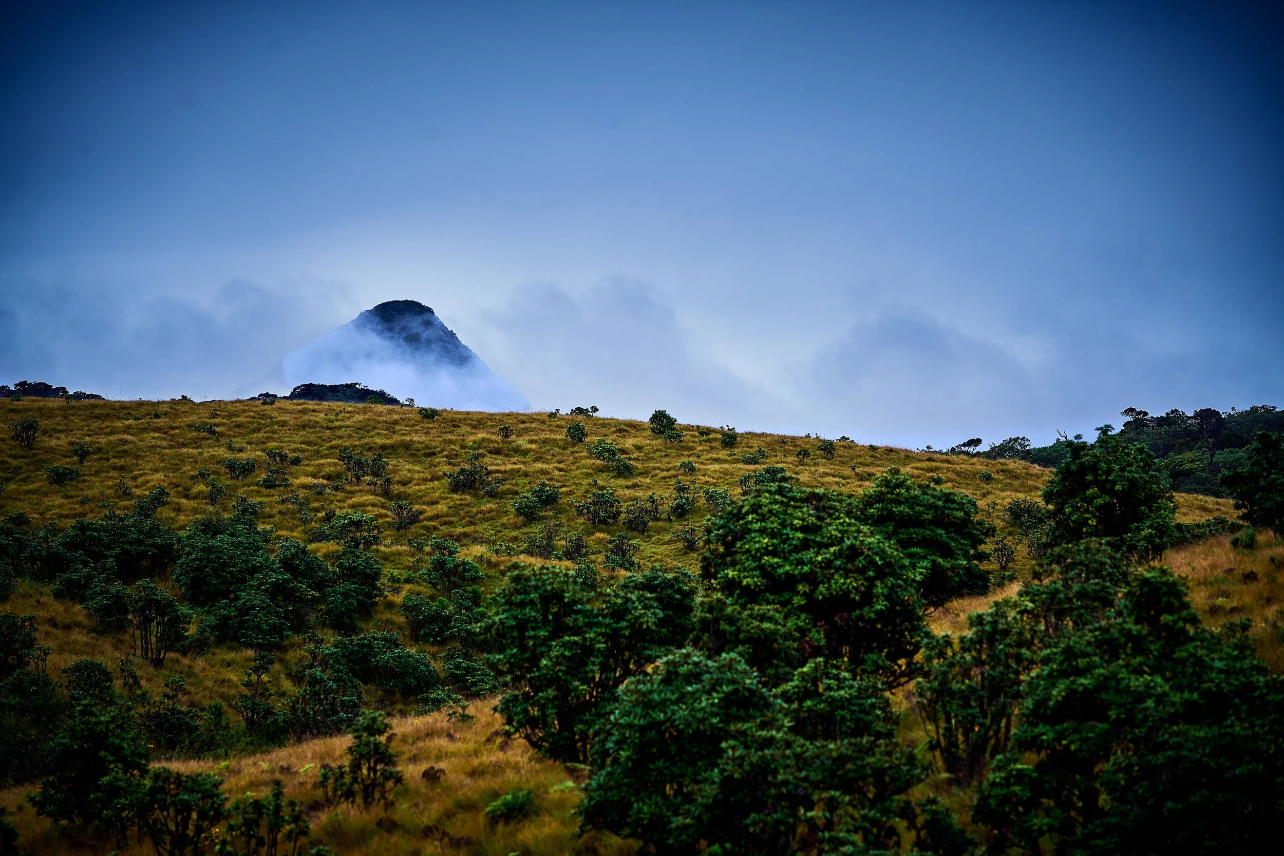 Sri Lanka 2025 357.jpg