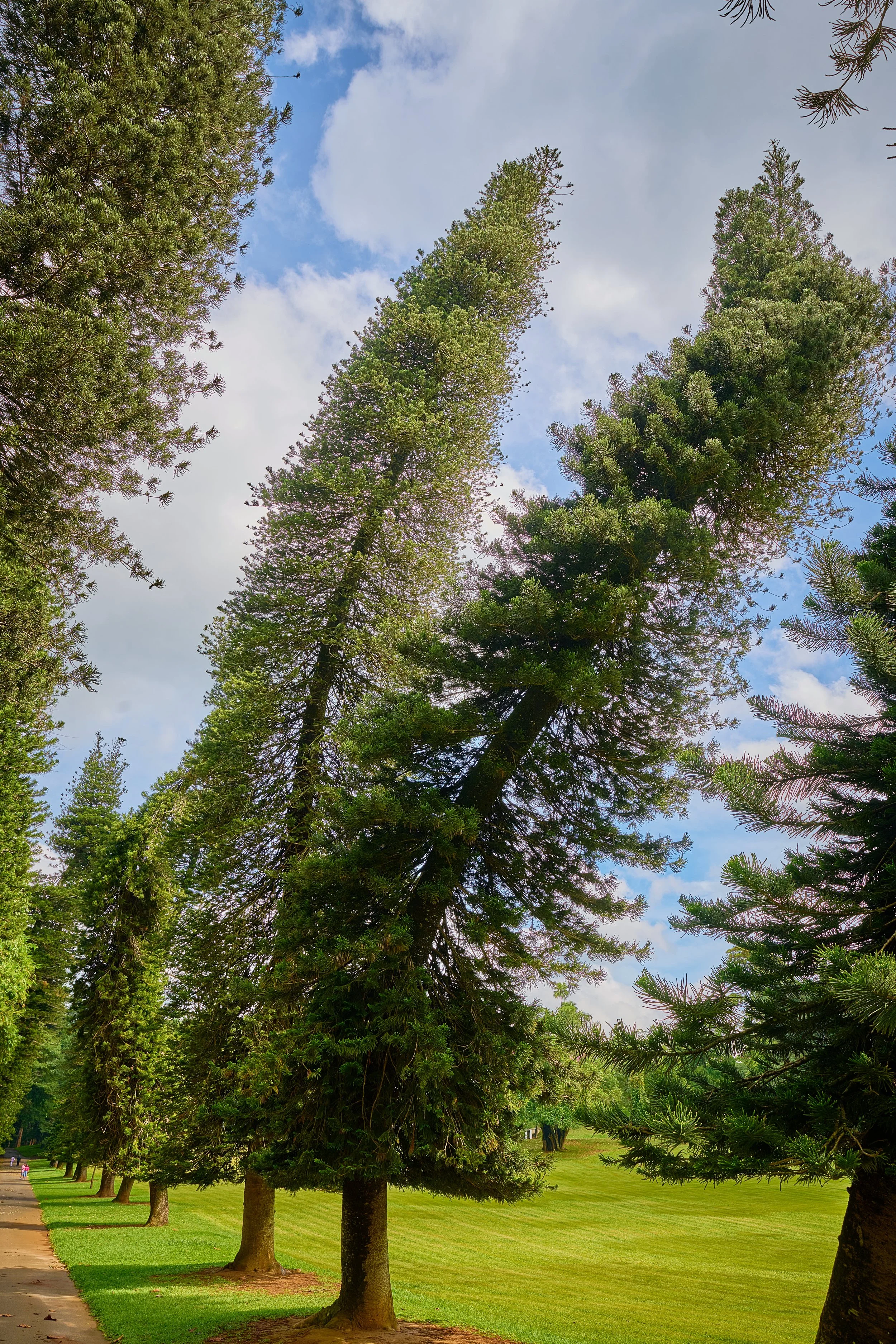 Sri Lanka 2025 277.jpg