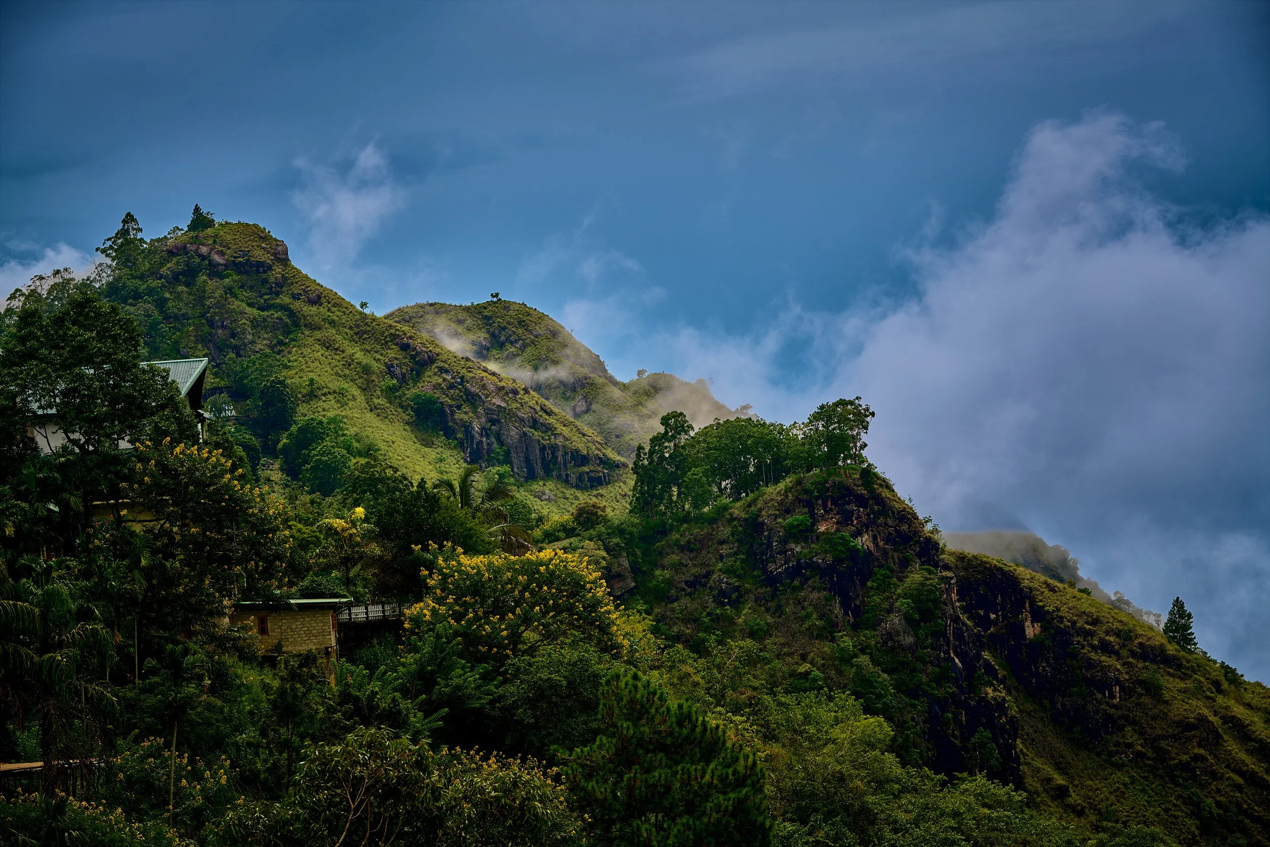 Sri Lanka 2025 436.jpg
