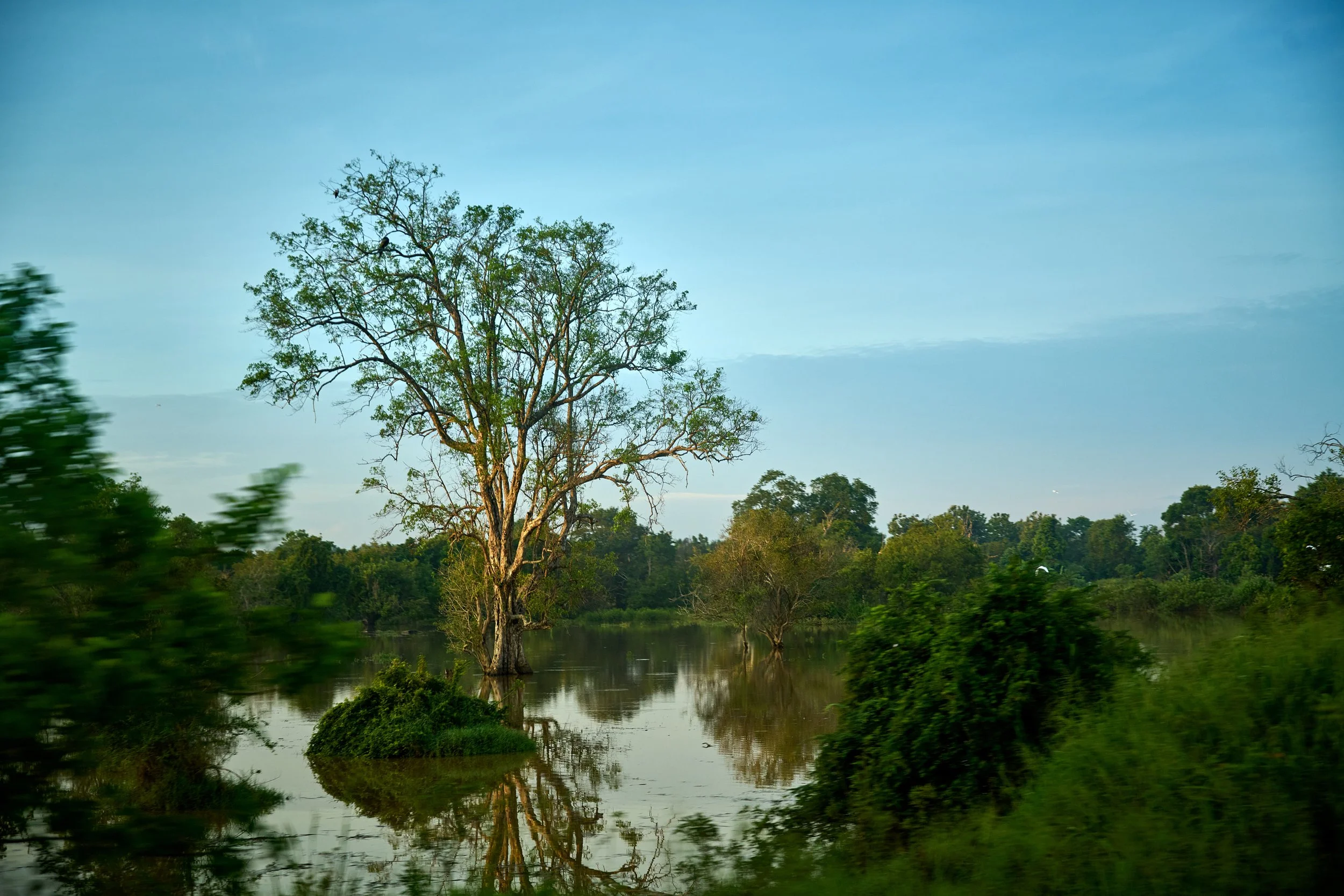 Sri Lanka 2025 032.jpg