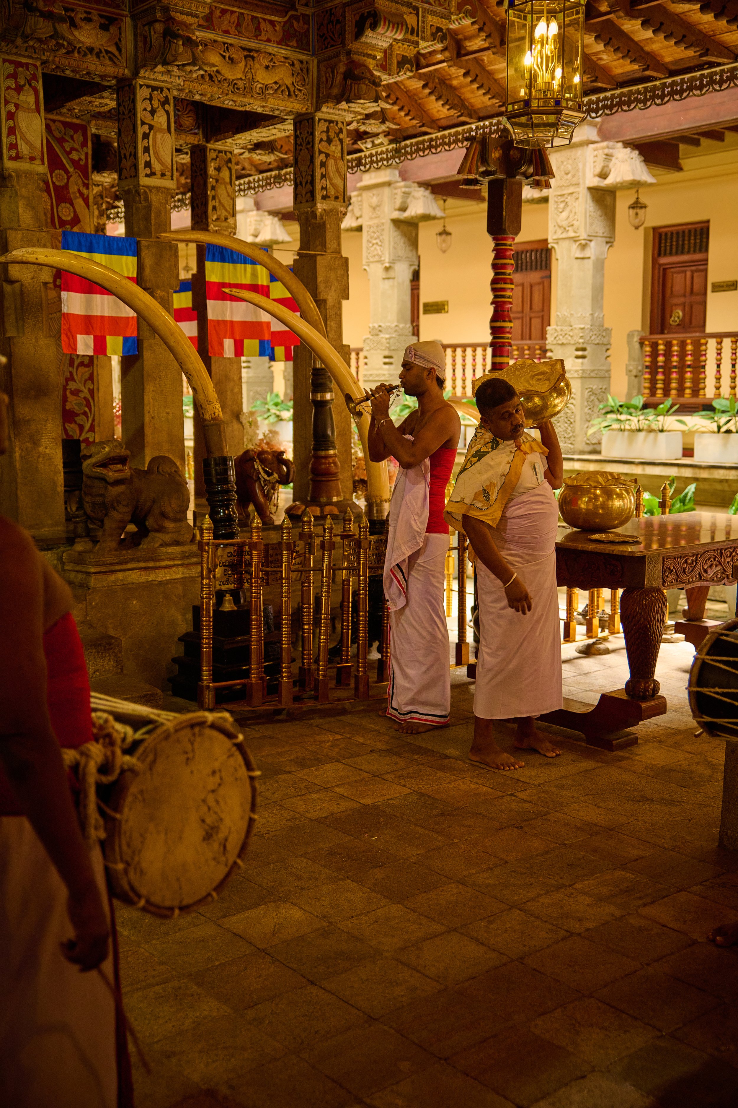 Sri Lanka 2025 238.jpg