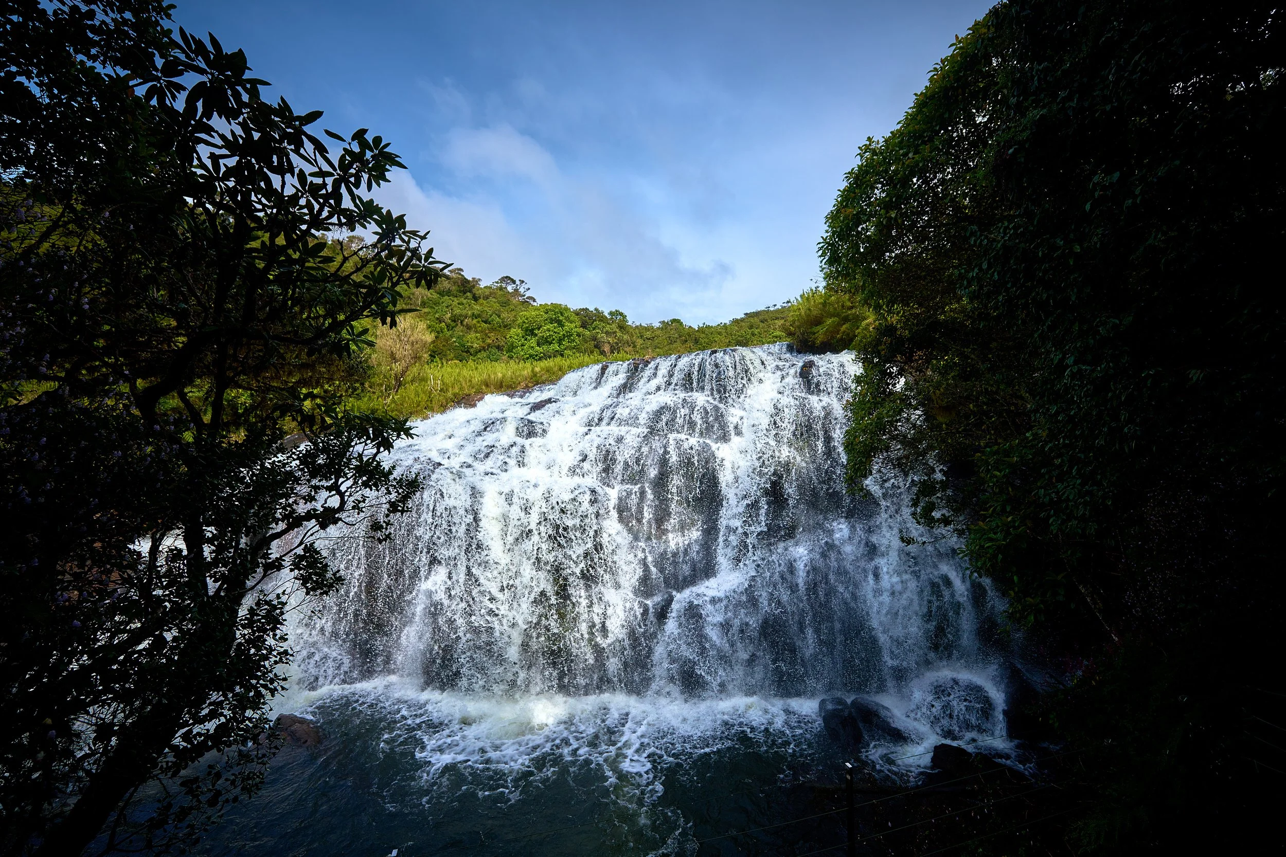 Sri Lanka 2025 404.jpg