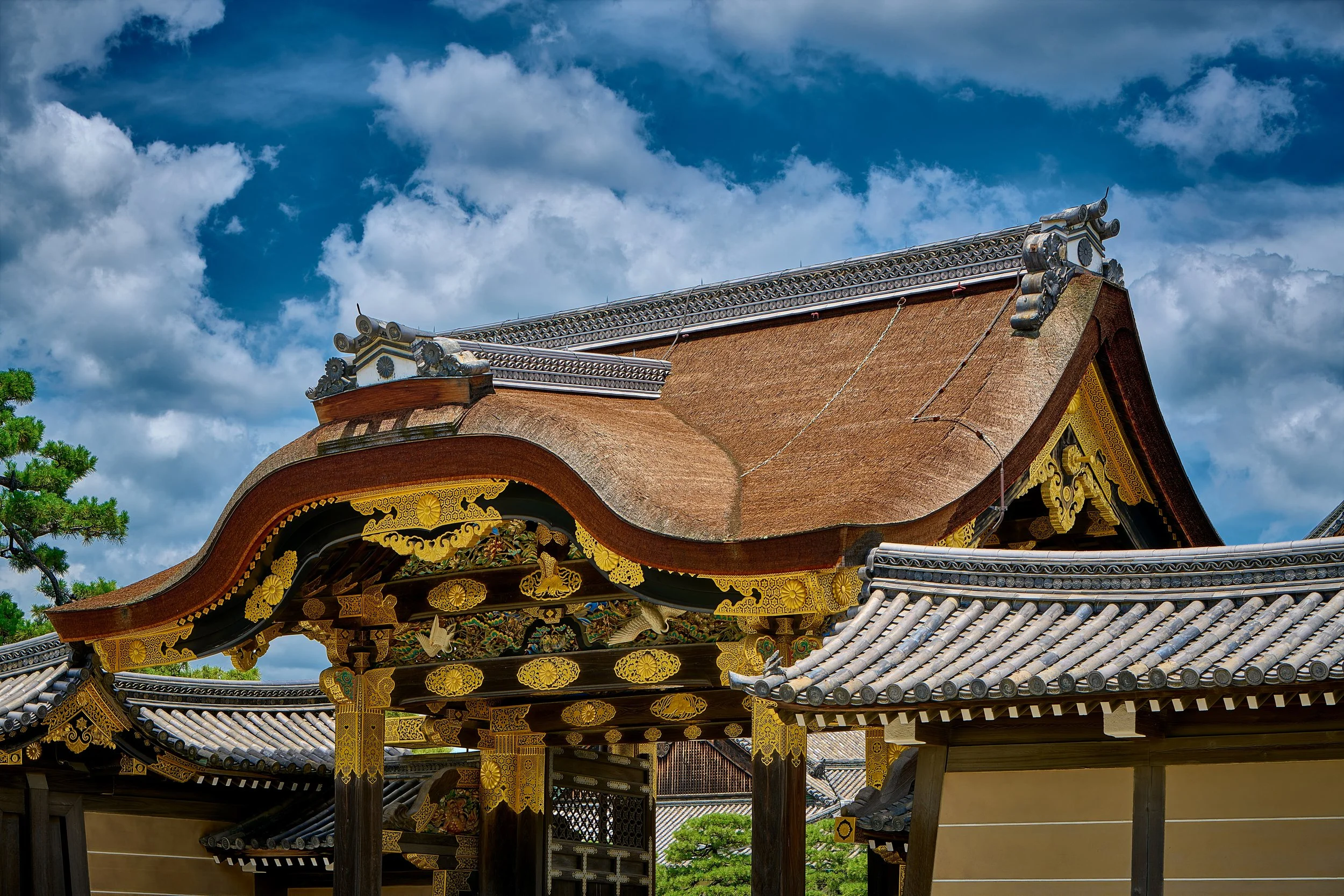 850_2471 Osaka, Nara, Kyoto 2025_HDR.jpg