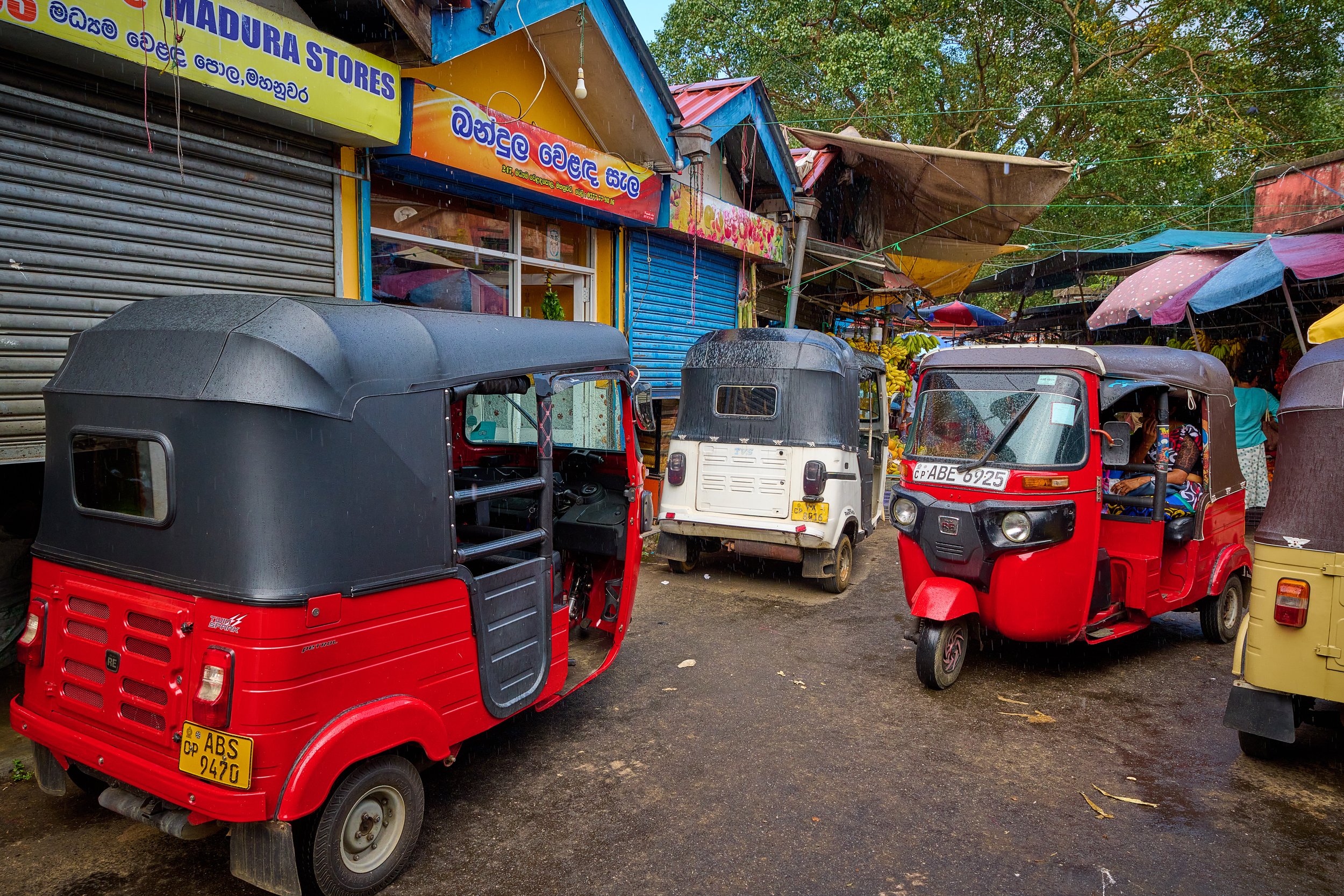 Sri Lanka 2025 264.jpg