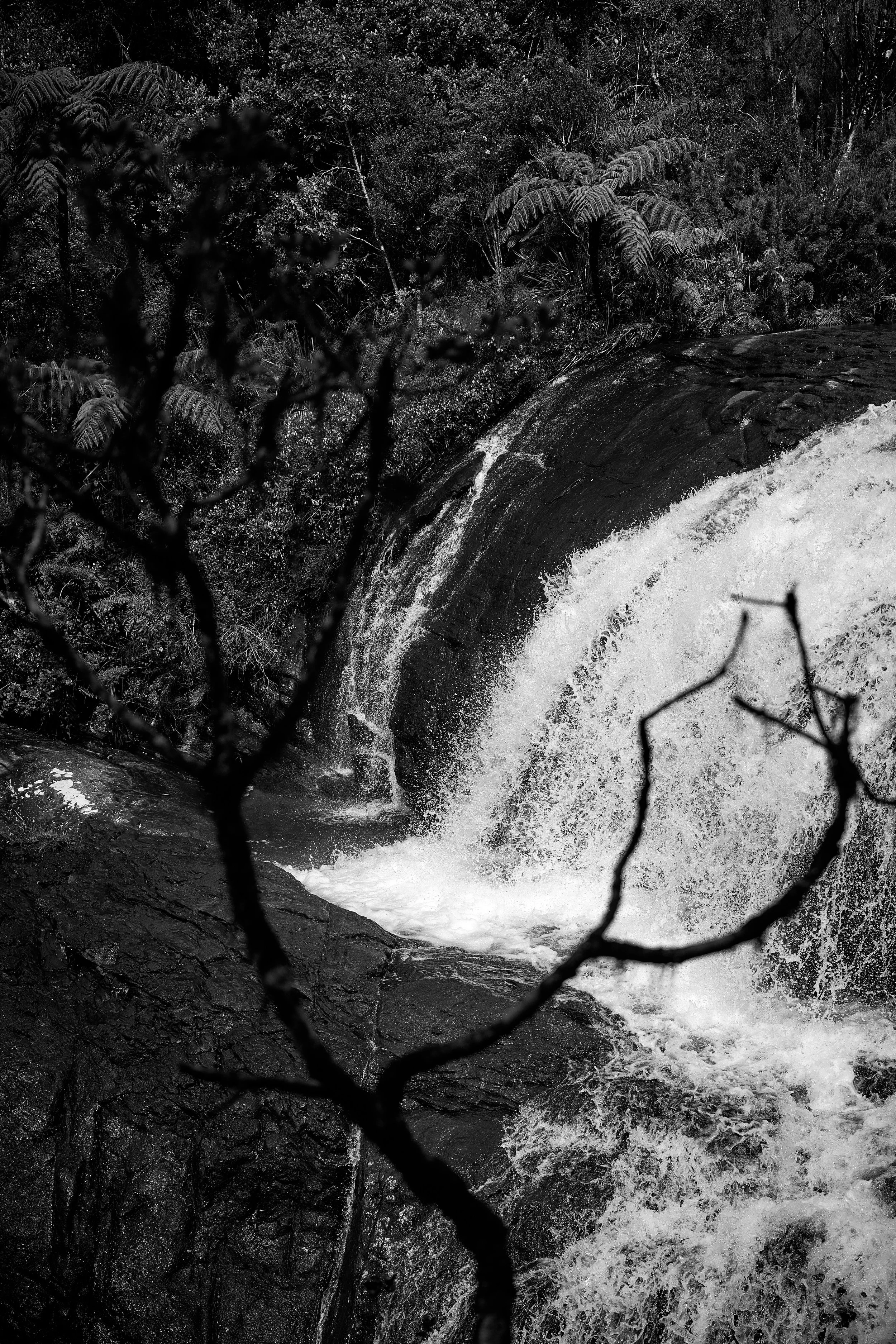 Sri Lanka 2025 402.jpg