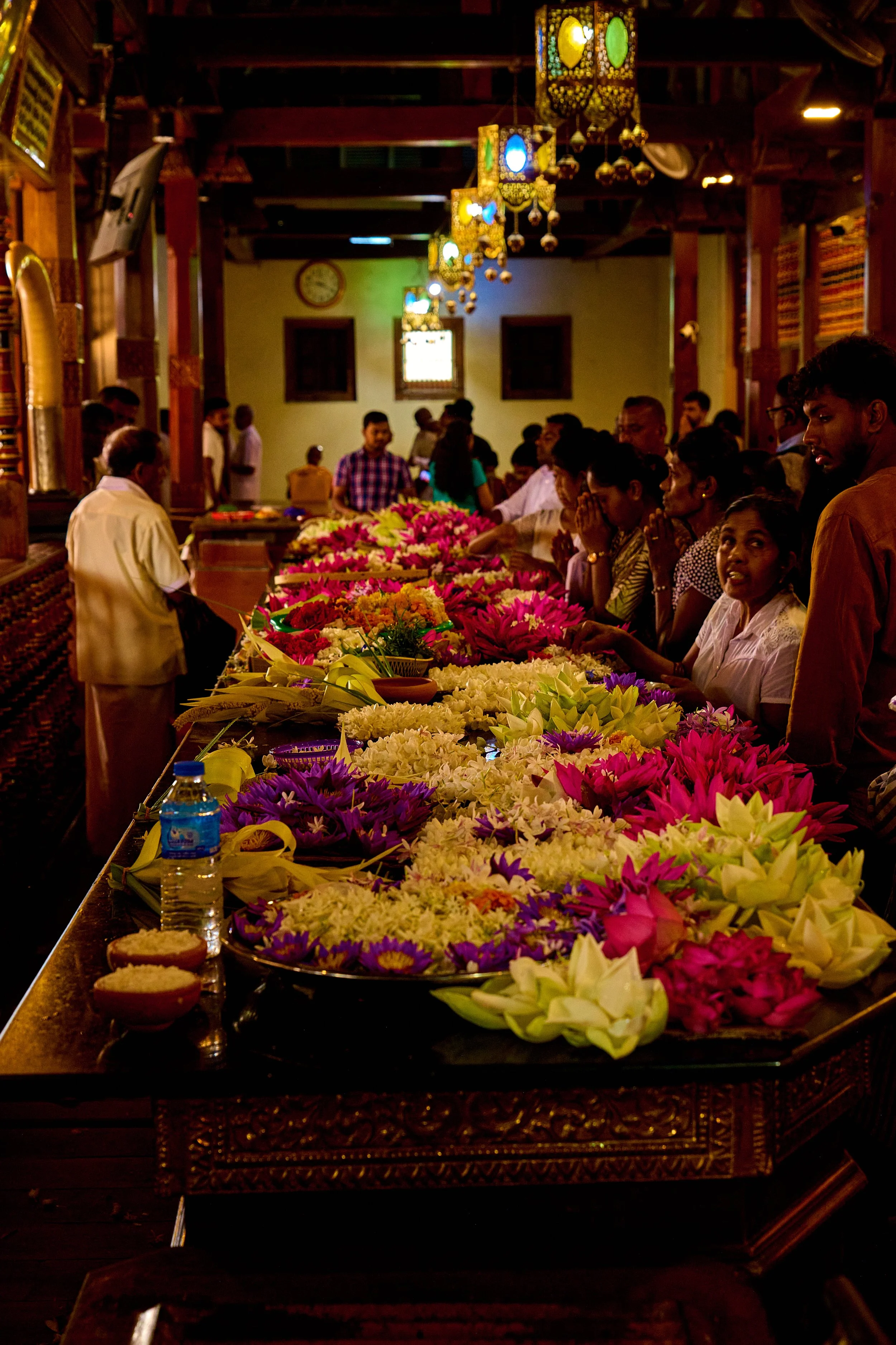 Sri Lanka 2025 231.jpg