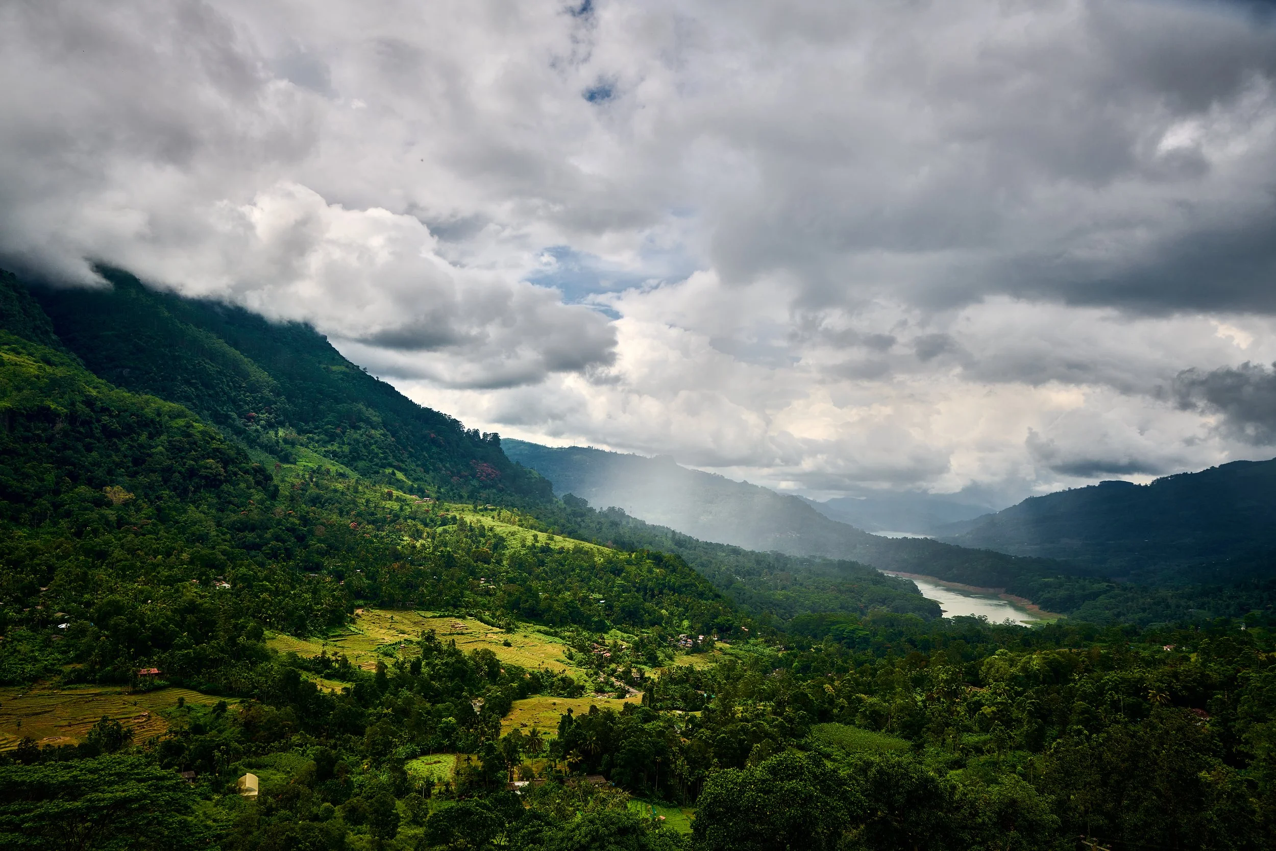 Sri Lanka 2025 315.jpg