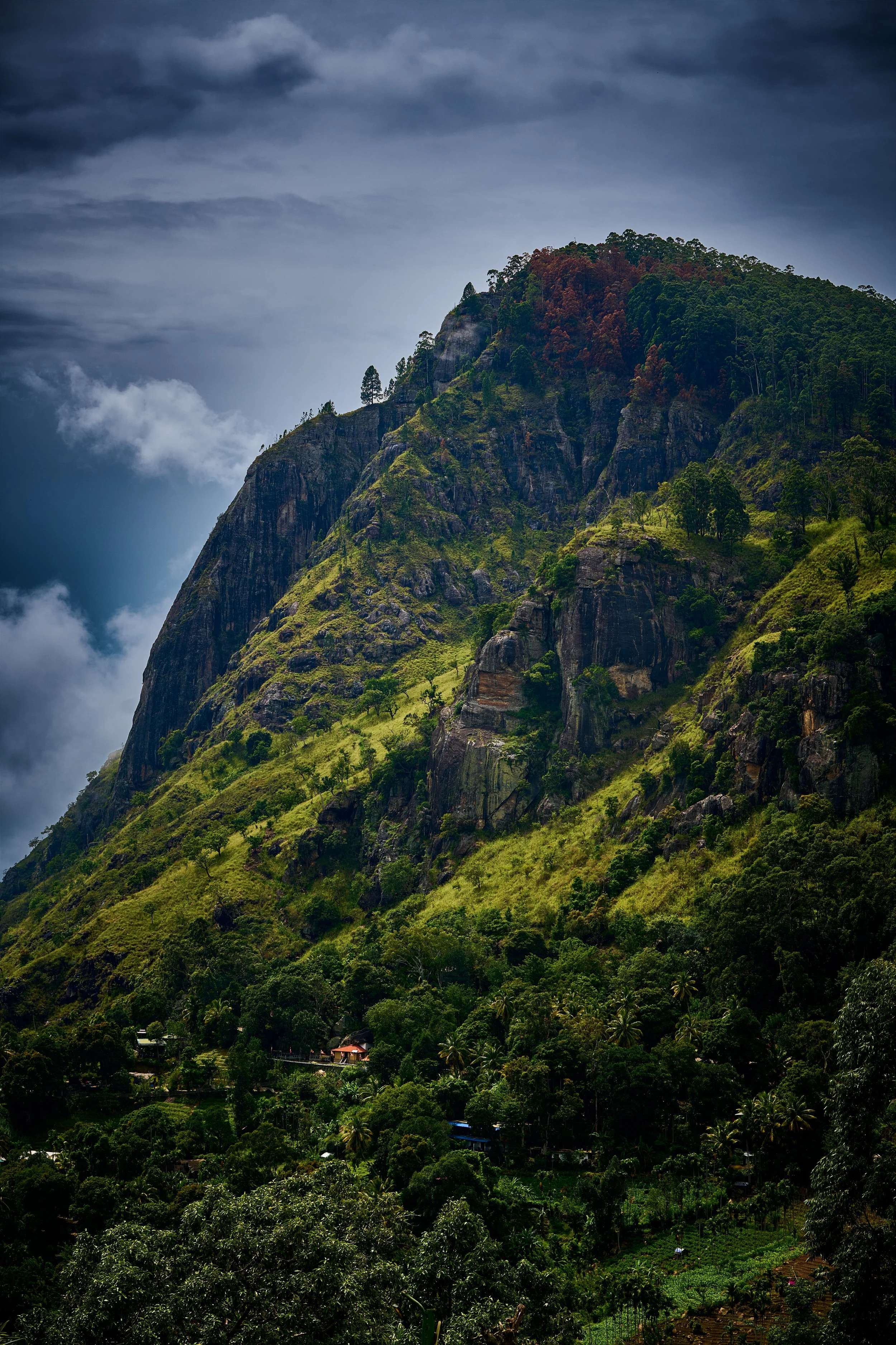 Sri Lanka 2025 433.jpg