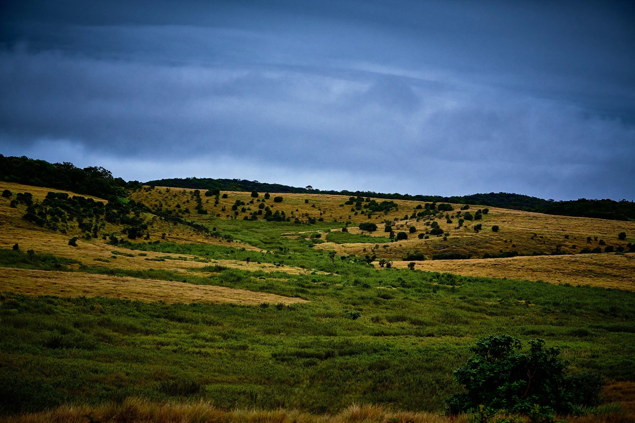 Sri Lanka 2025 344.jpg