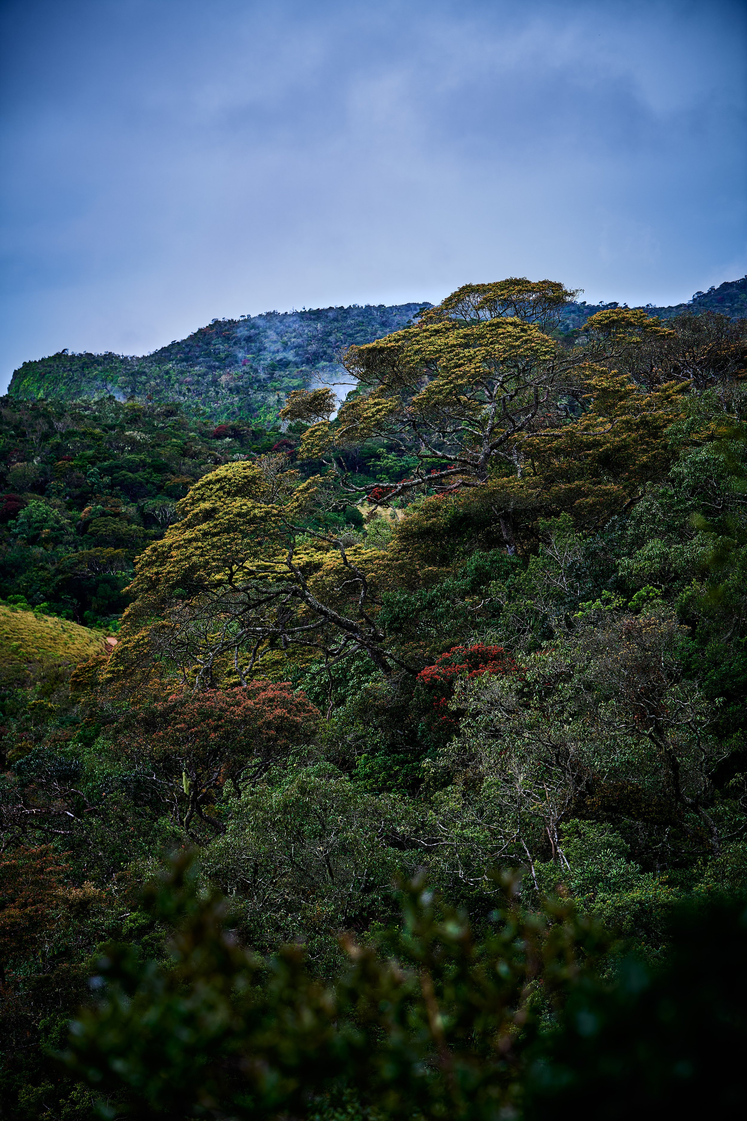 Sri Lanka 2025 370.jpg