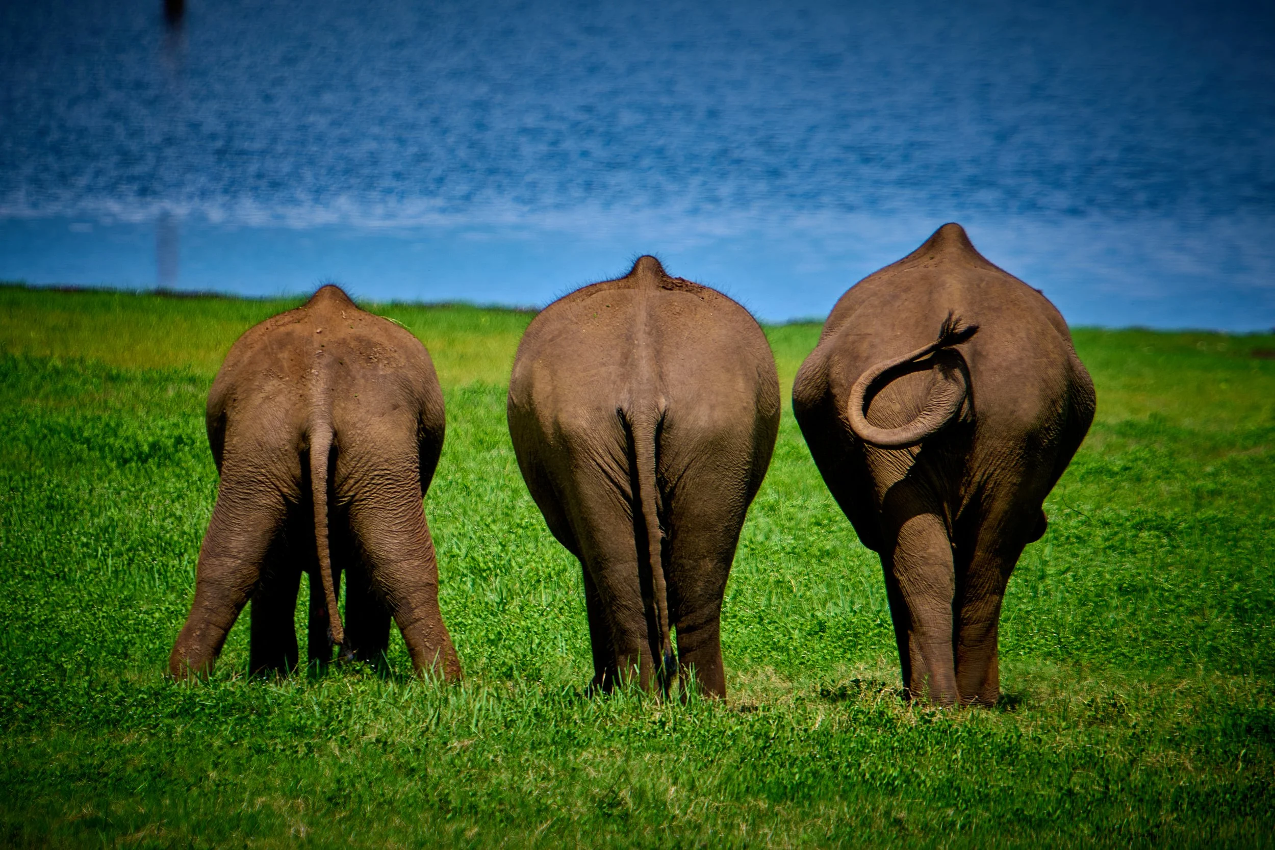 Sri Lanka 2025 111.jpg