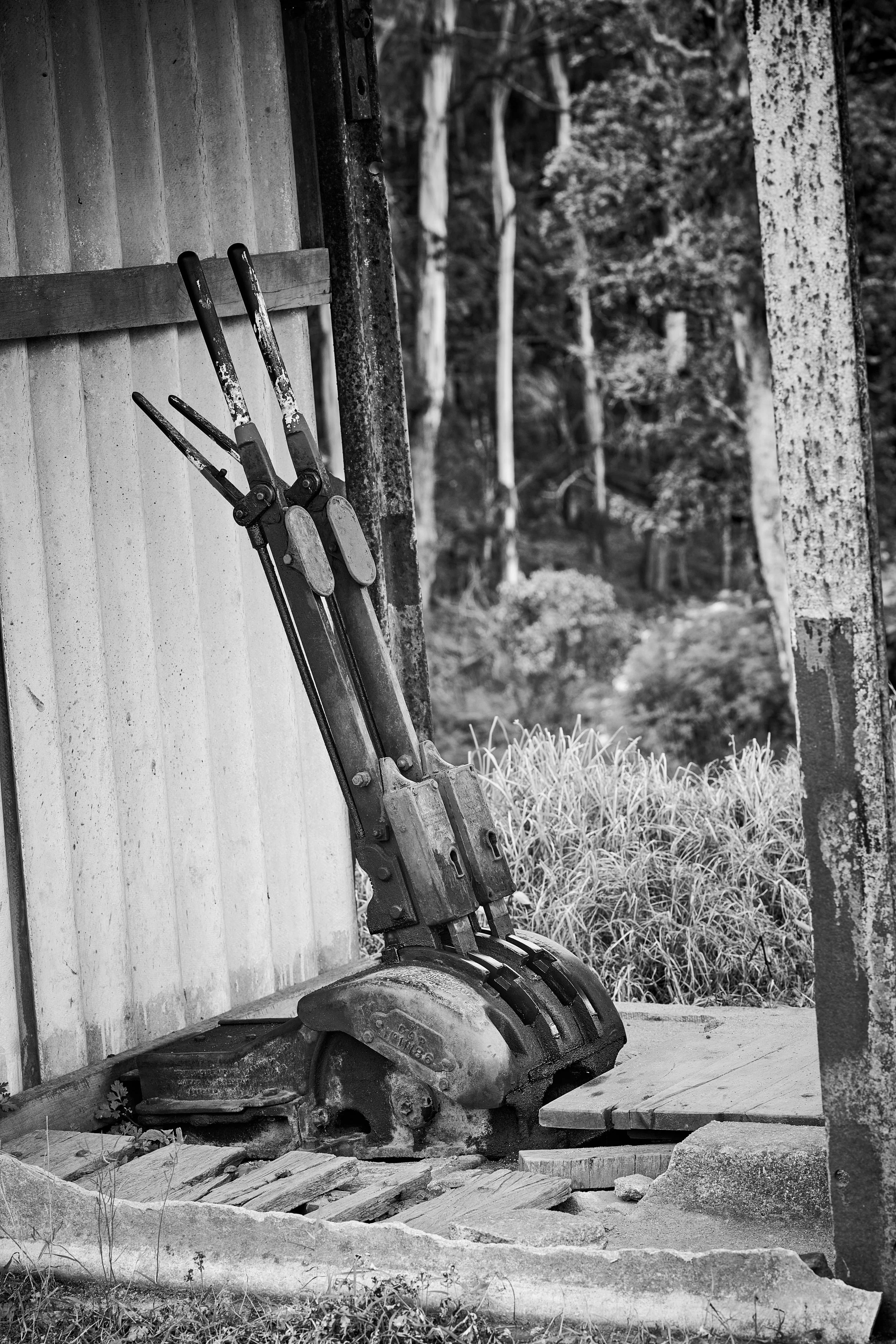 Sri Lanka 2025 415.jpg