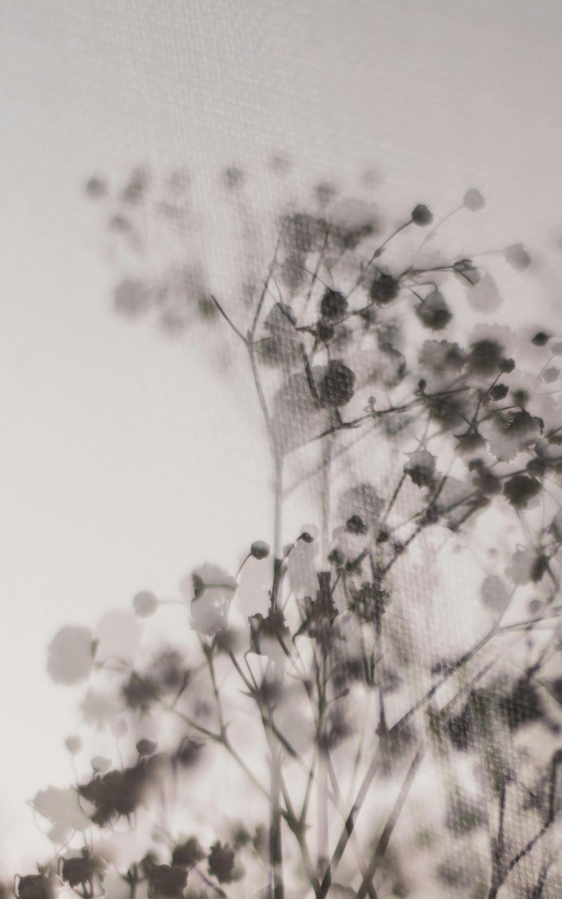 The Glow From Within: Glutathione Pushes