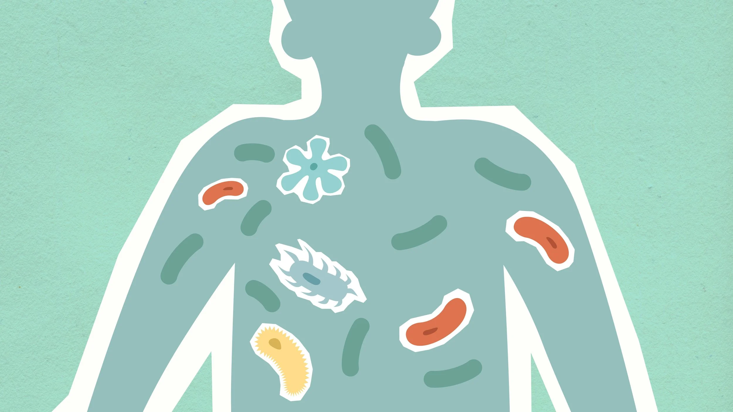 What Is SIBO? Signs, Symptoms &amp; Support Options