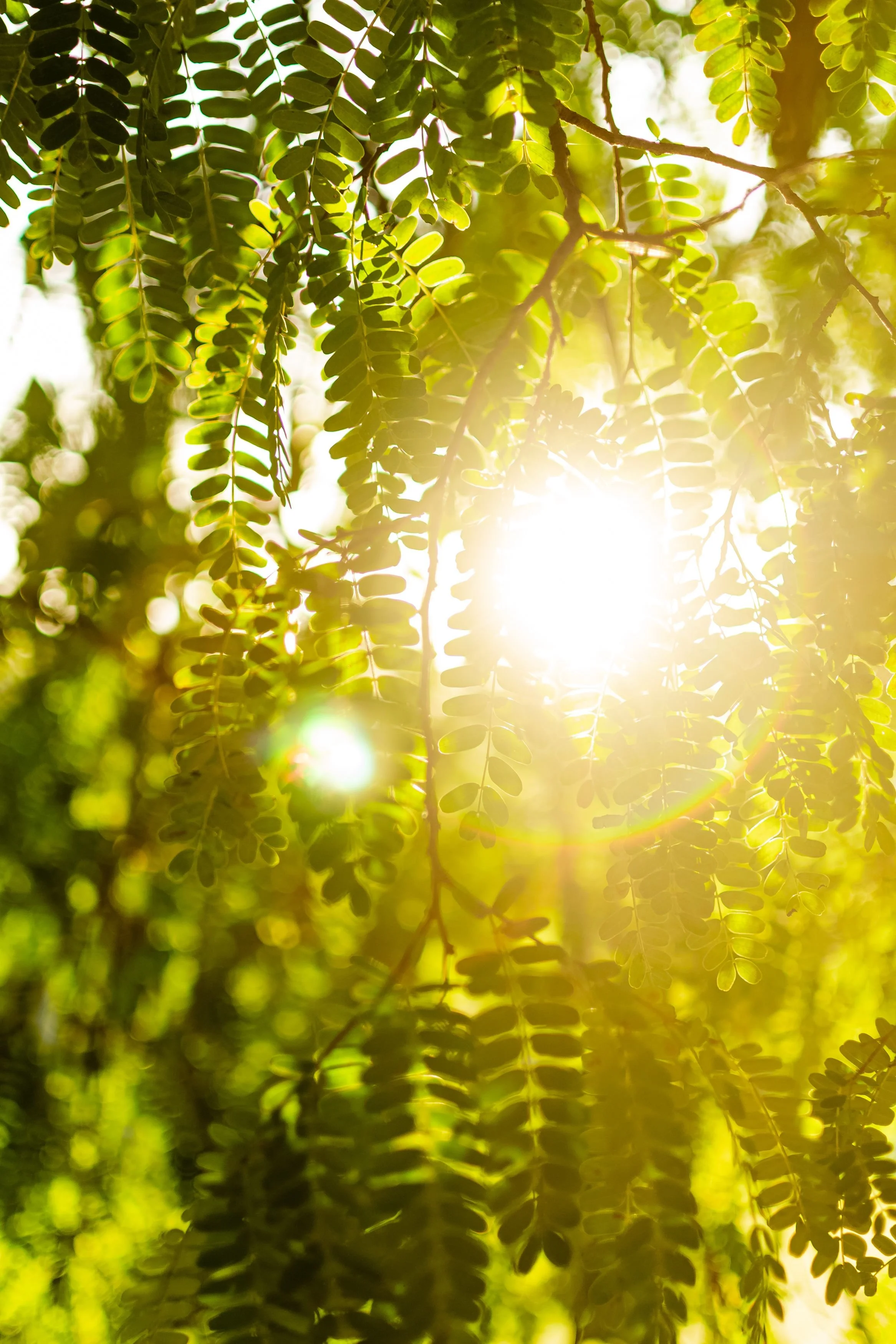 The Power of Vitamin D 